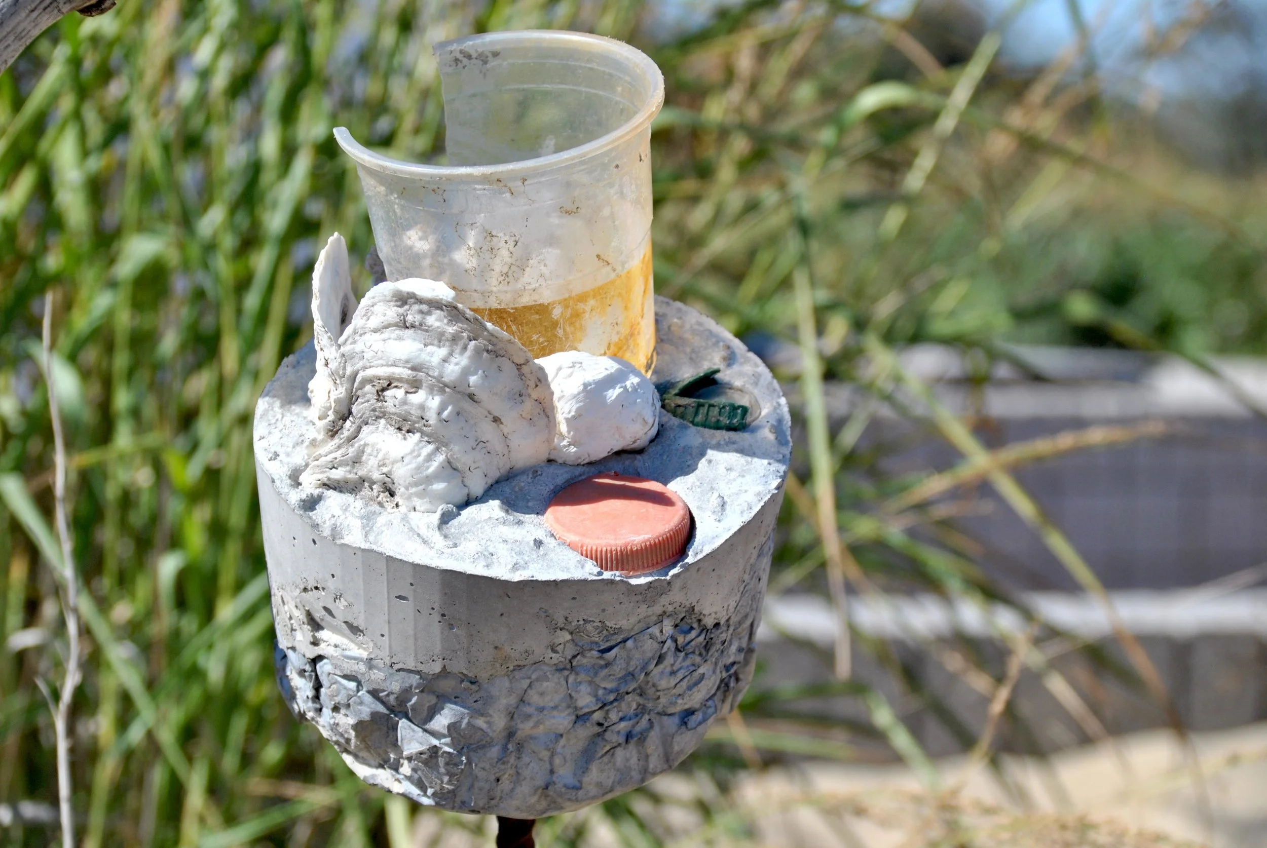 Oyster concrete with Big Gulp and Caps