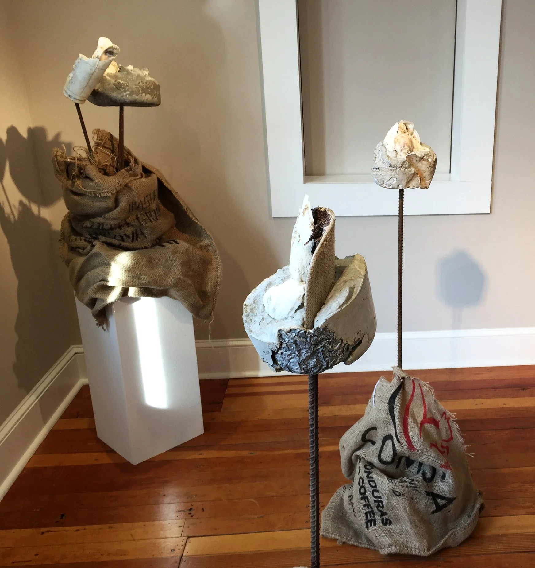 Oyster Aesthetics Exhibition