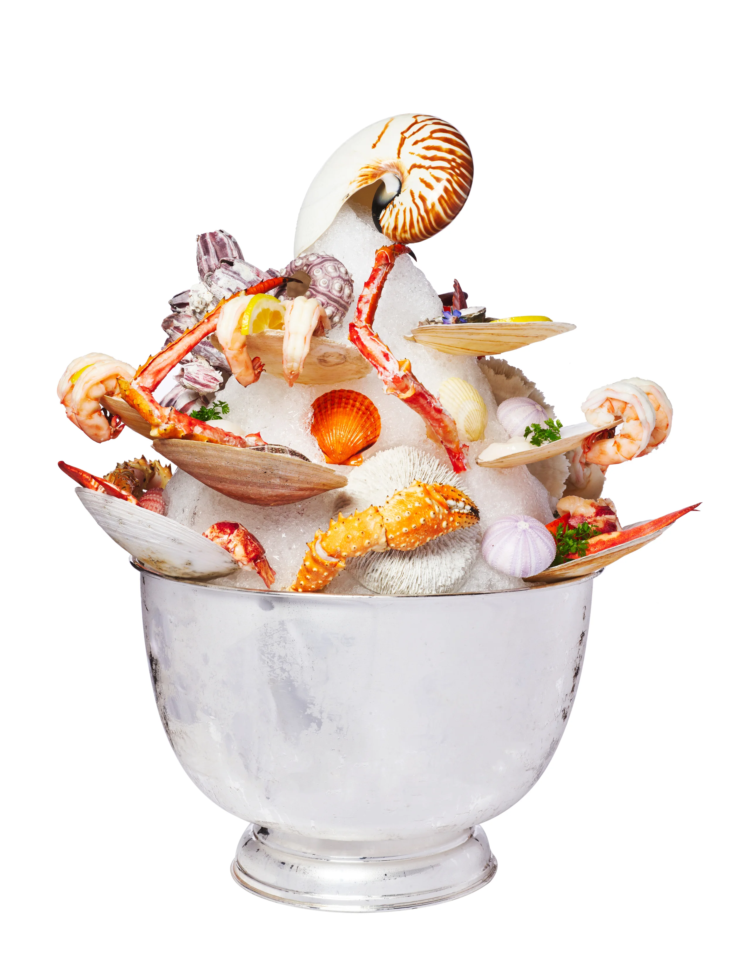 grand shellfish