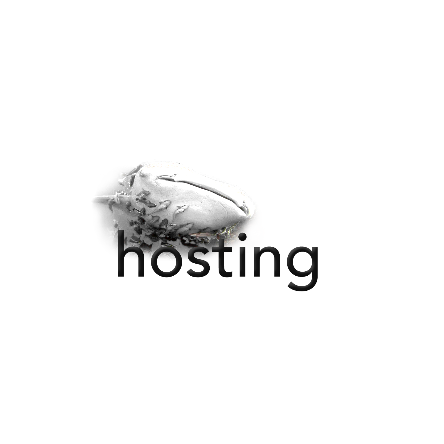 backsplash-hosting.png