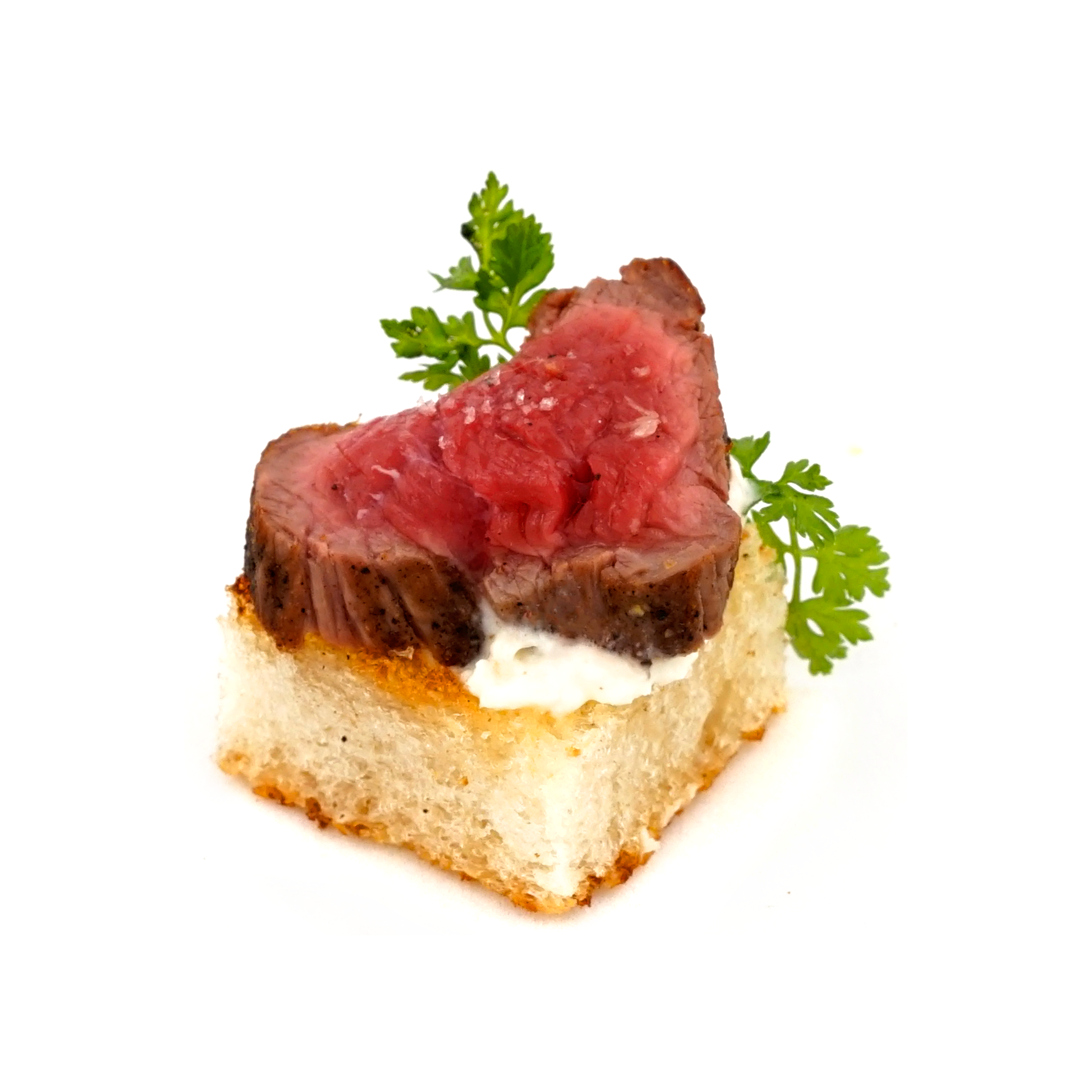 tenderloin & toast