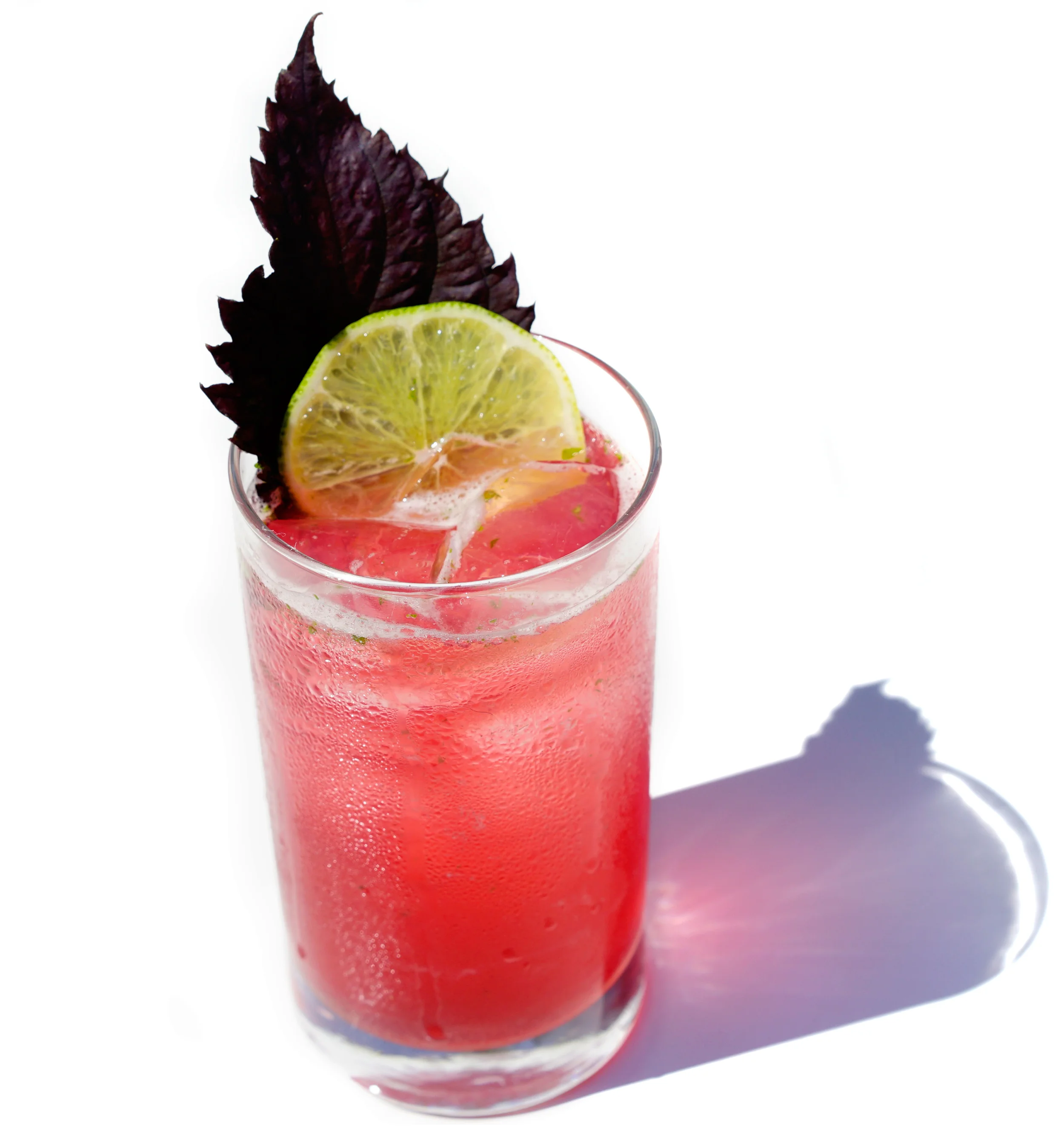 Summer Tonic