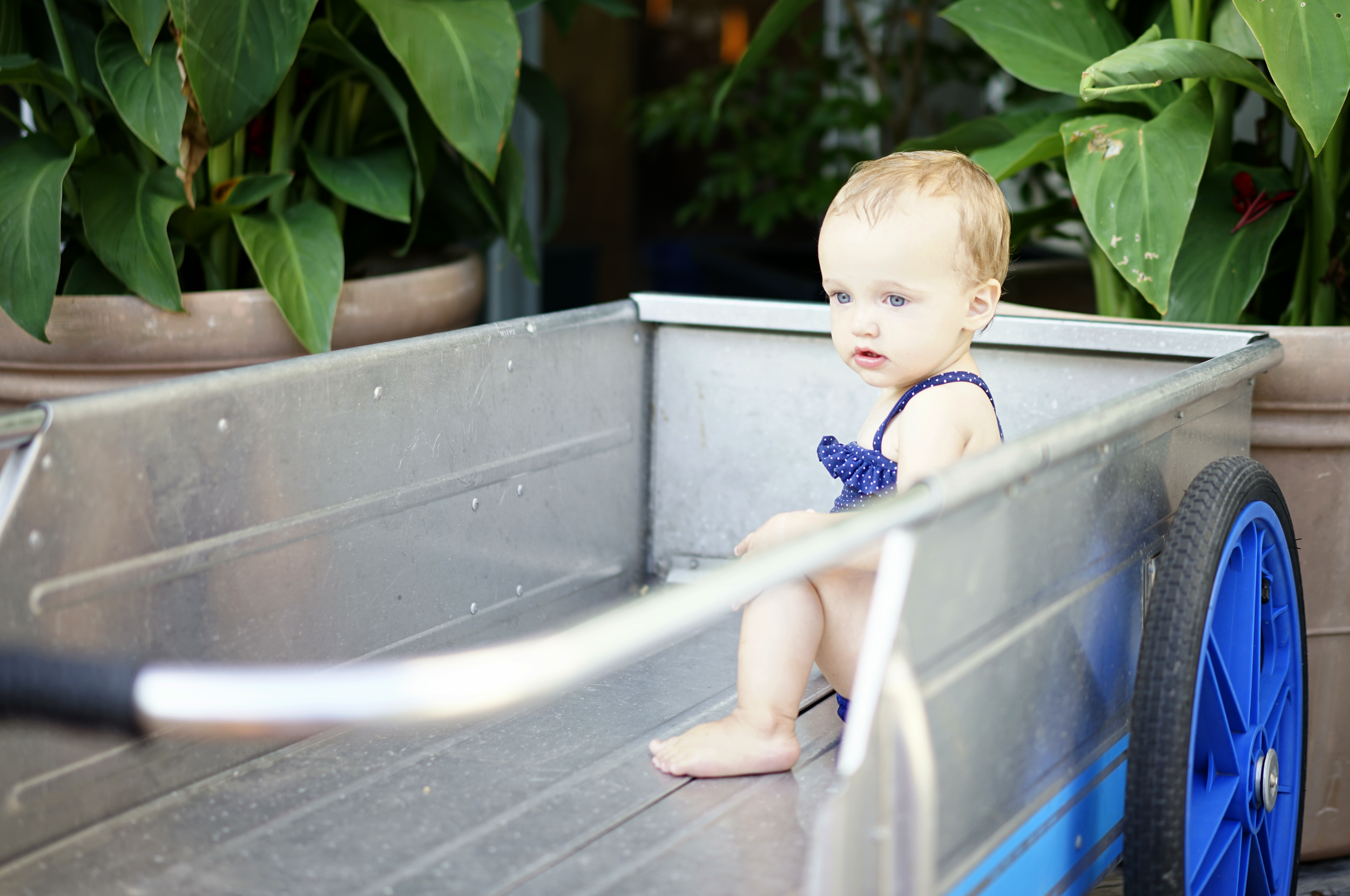 Everly