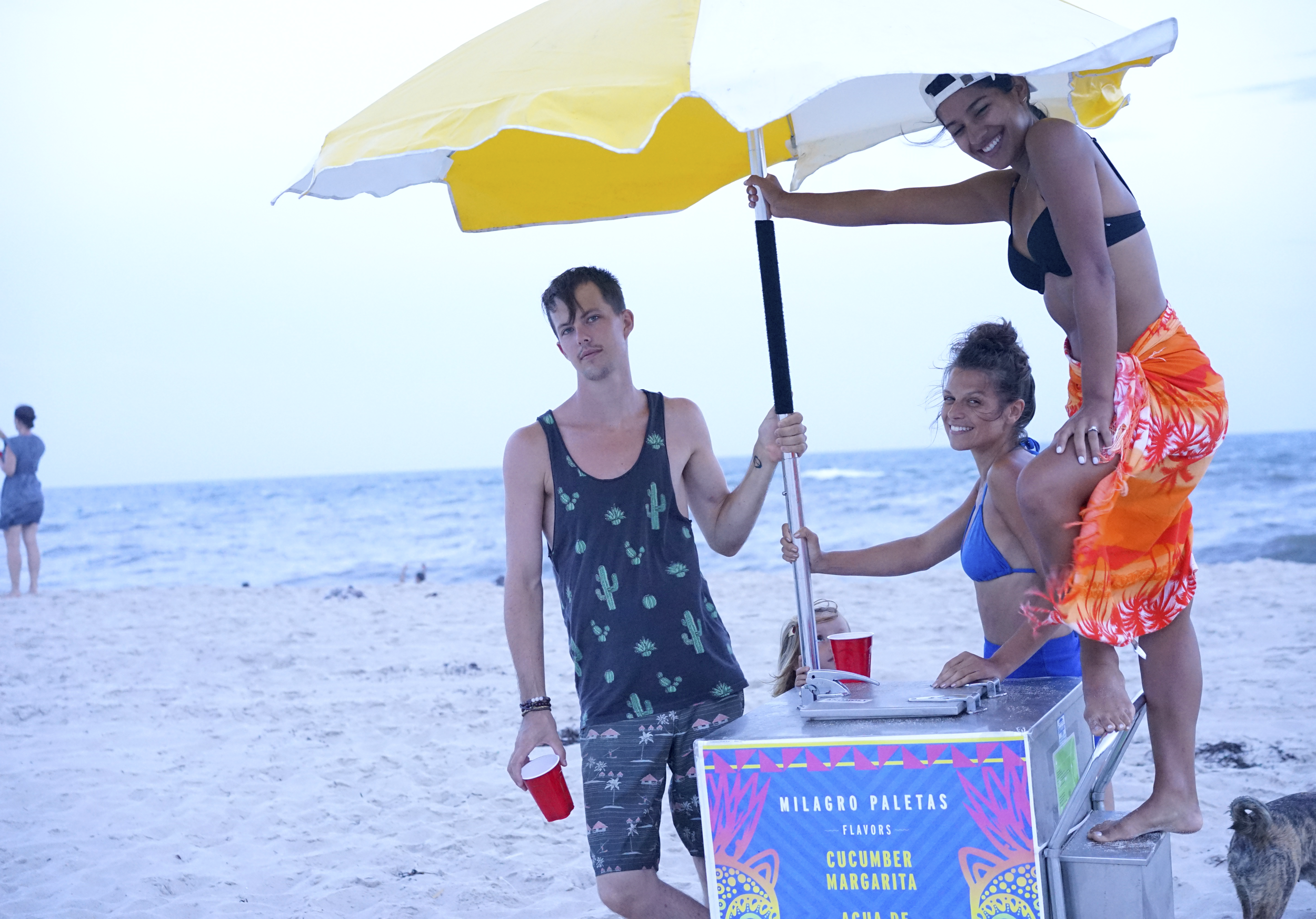 Ice Cream?