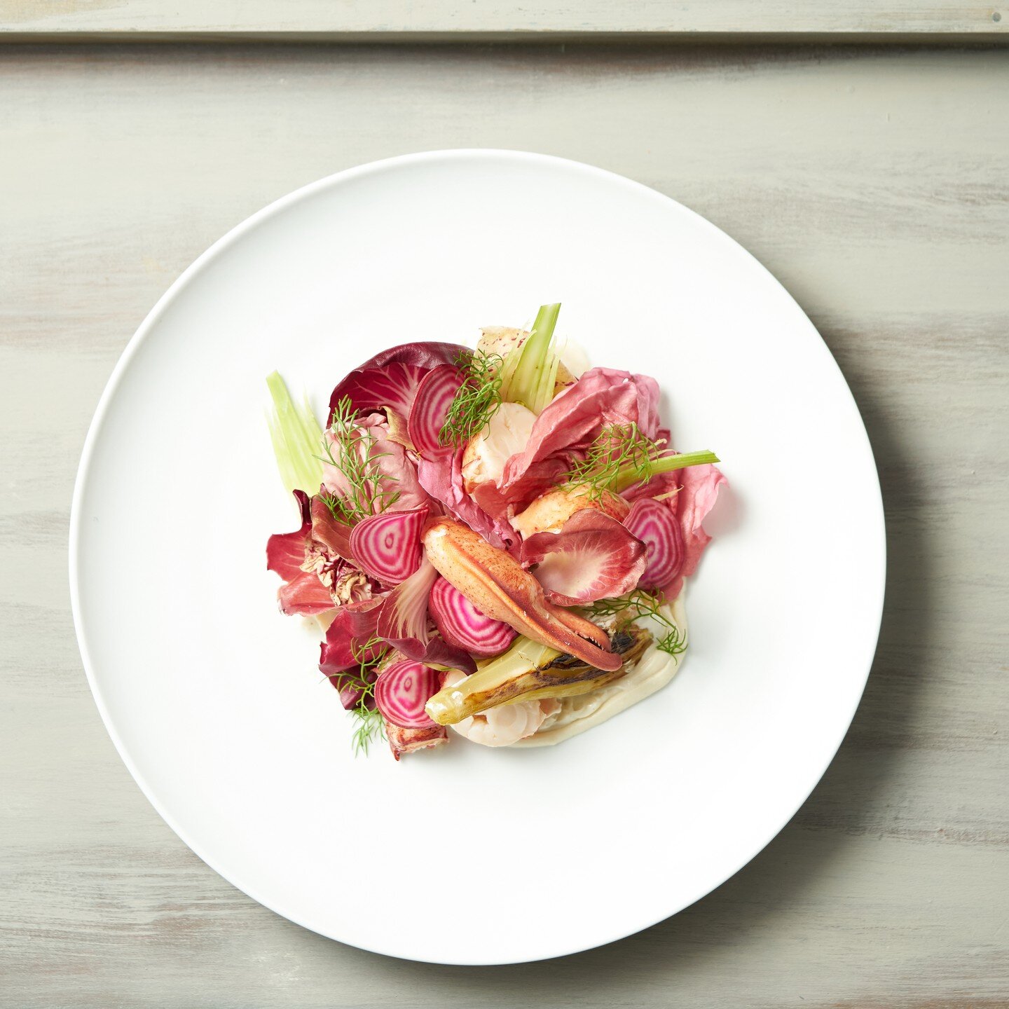 ROCK LOBSTER

lobster + pink chicories + baby fennel + candy cane beets + wasabi + honey