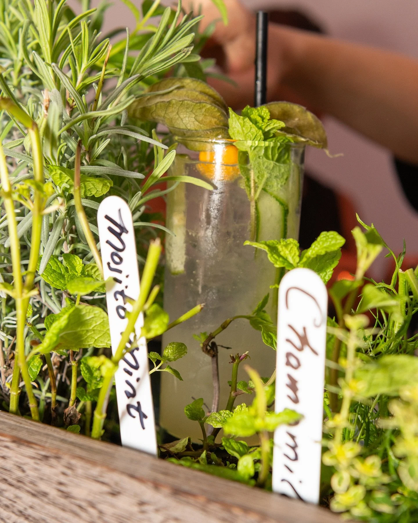CHOOSE YOUR OWN ADVENTURE(HERB)

GREENMARKET G&amp;T&rsquo;s 
gin + lime + tonic 

(+/-) cucumber 
(+/-) fennel 
(+/-) gooseberries 
(+/-) chamomile 
(+/-) mint

@lutronelectronics 
@dustinyellin 
@dibsondesign 
📸: @theryantiscareno