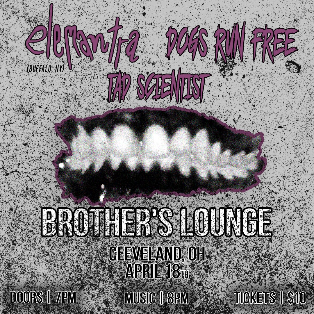 Elemantra / Tad Scientist / Dogs Run Free