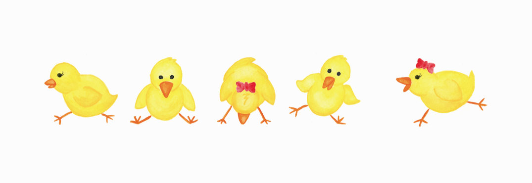 Chicks.png