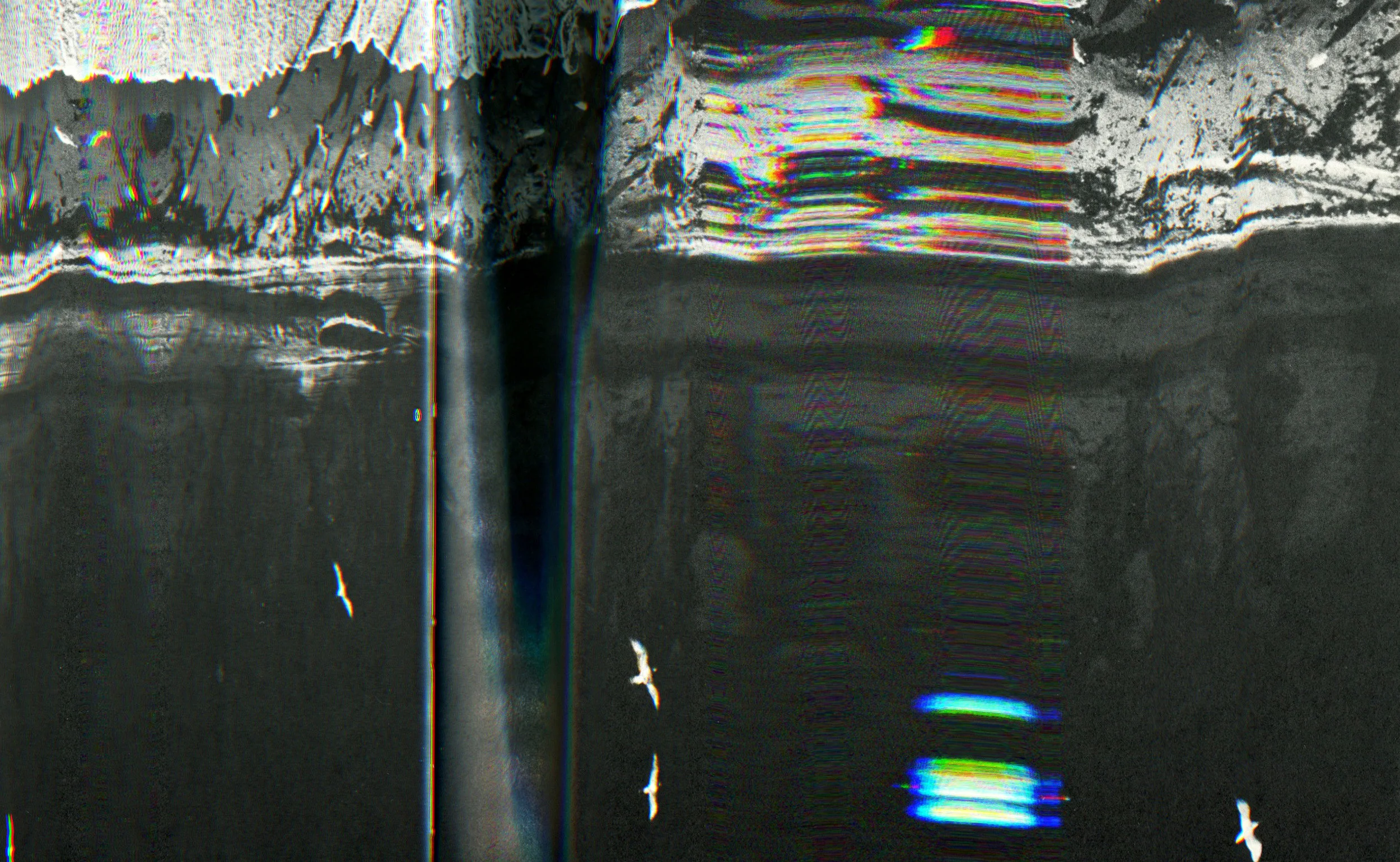 image5.jpg
