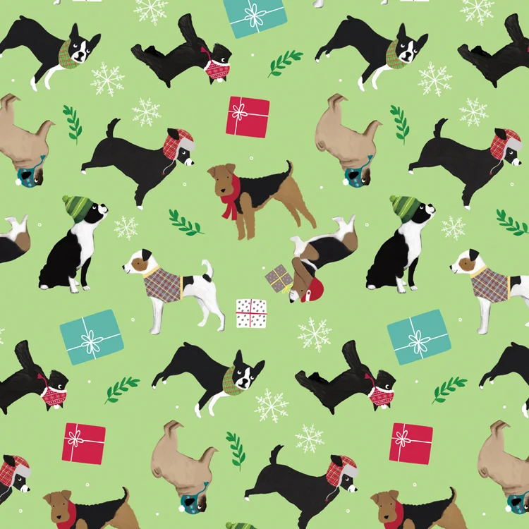 CMAS_ANIMALS_B.jpg