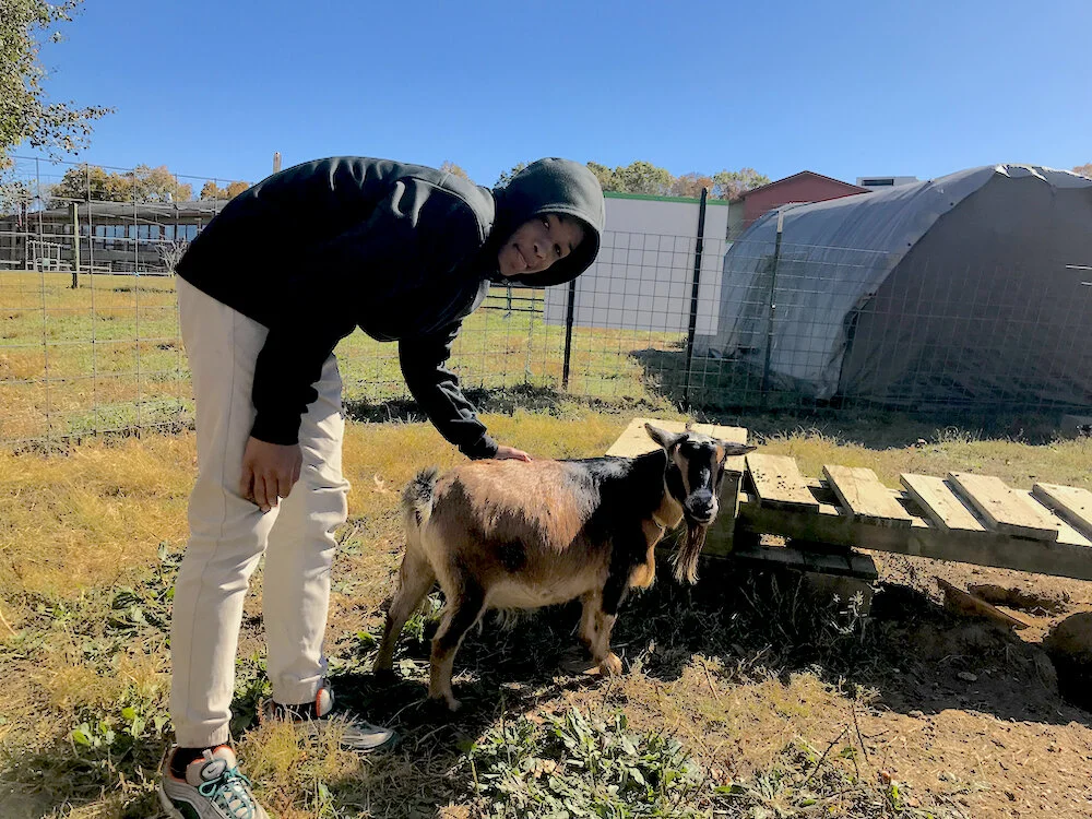 The Pearlstone Center Reinvents Community Support During COVID-19