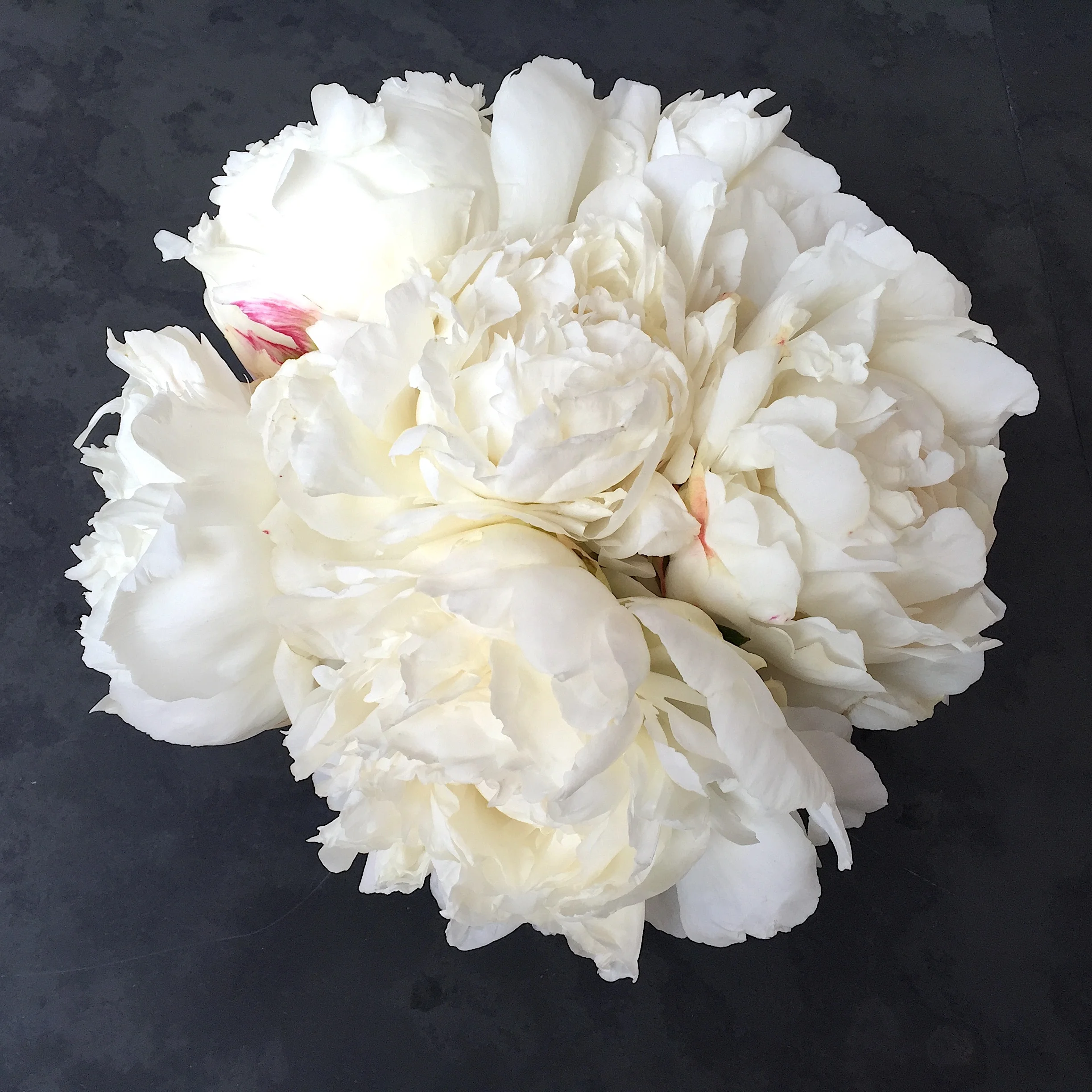 Keep adding, evenly distributing the flowers by using the grid.