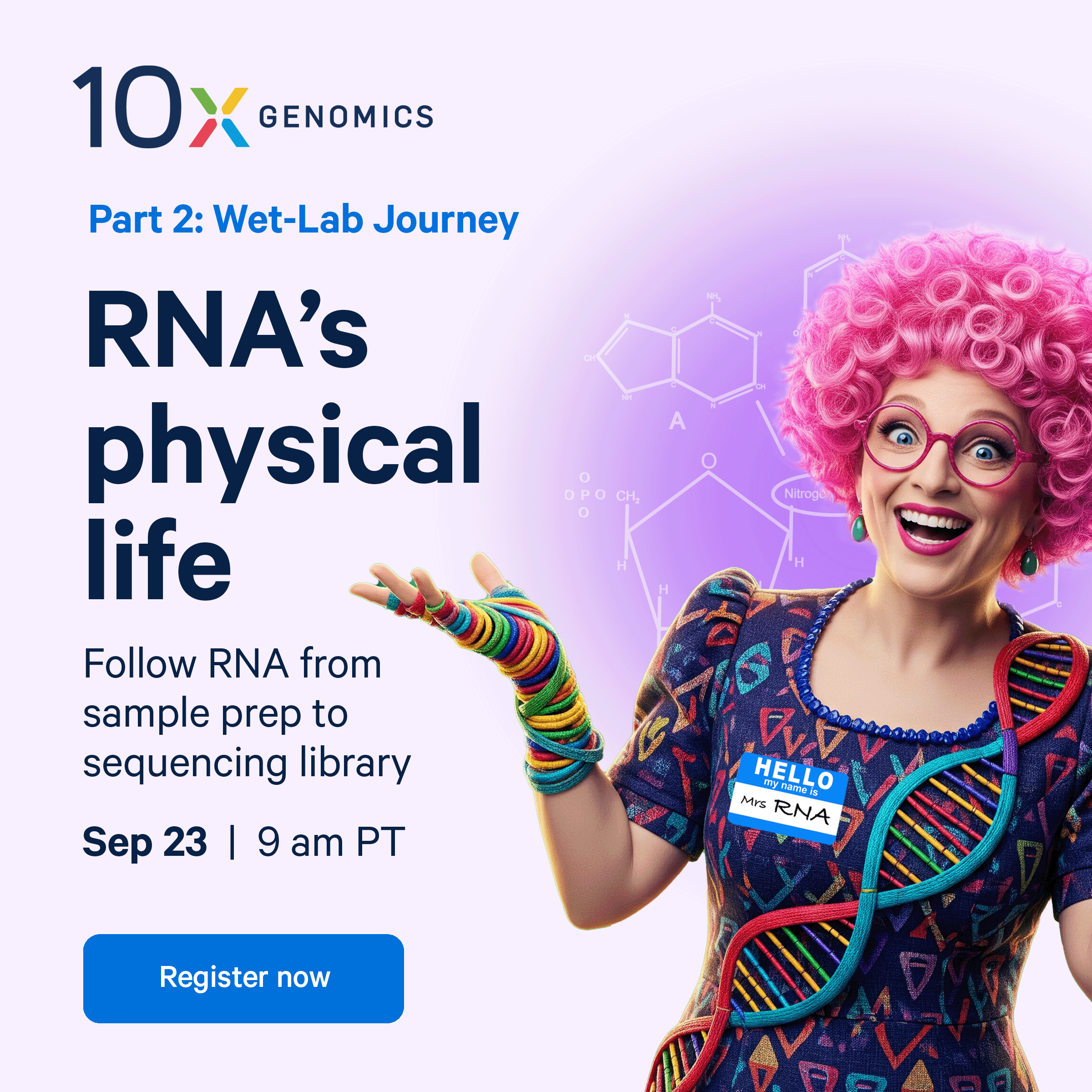 Intro to SC_Life of an RNA_Option 4B.png