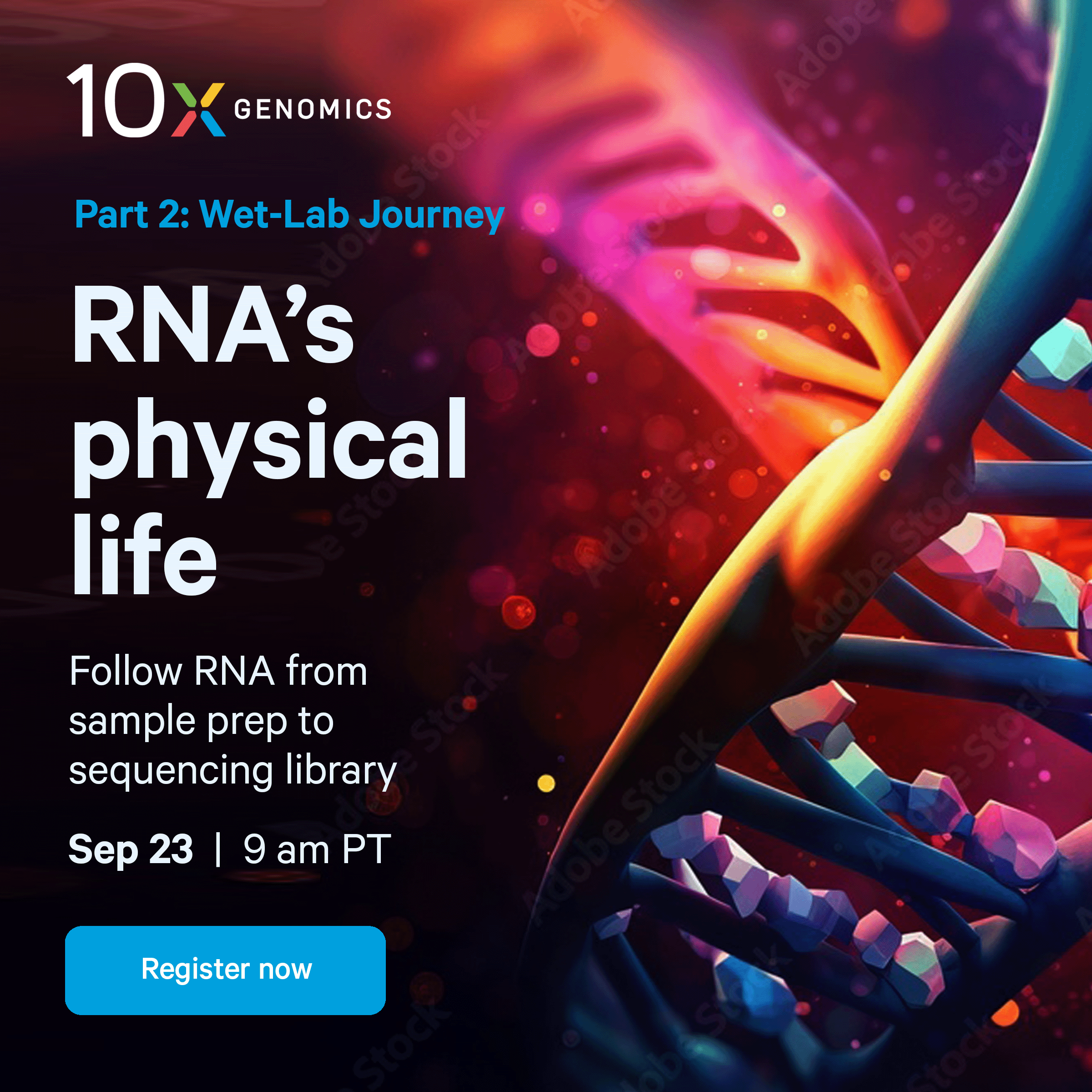 Intro to SC_Life of an RNA_Option 2B.png