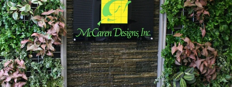 mccaren-resized-960x620.jpg