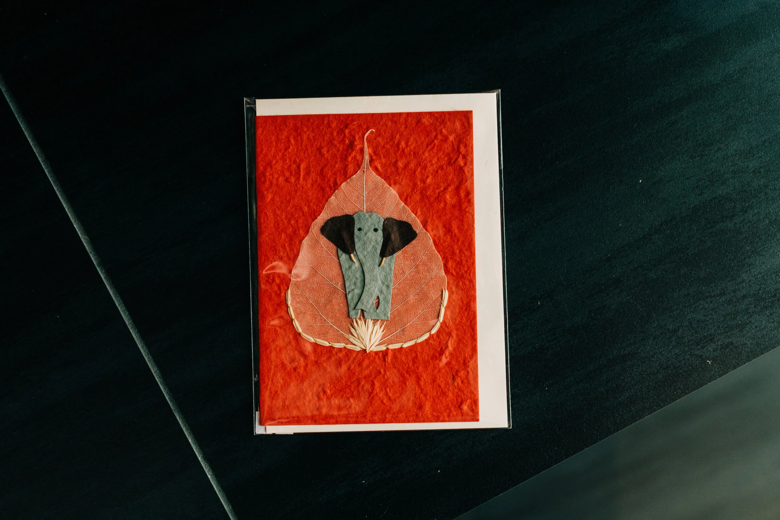 Elevat high res (19 of 111).jpg