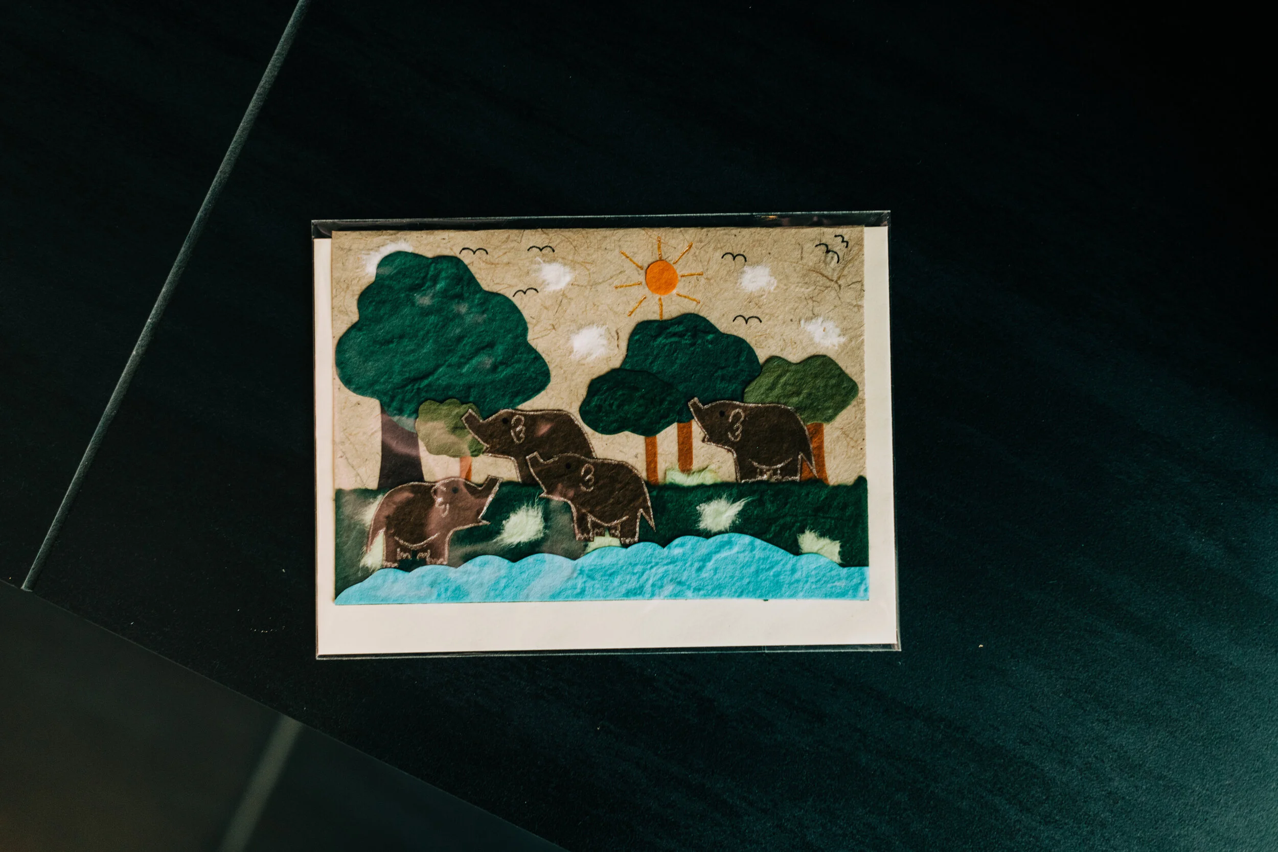 Elevat high res (20 of 111).jpg