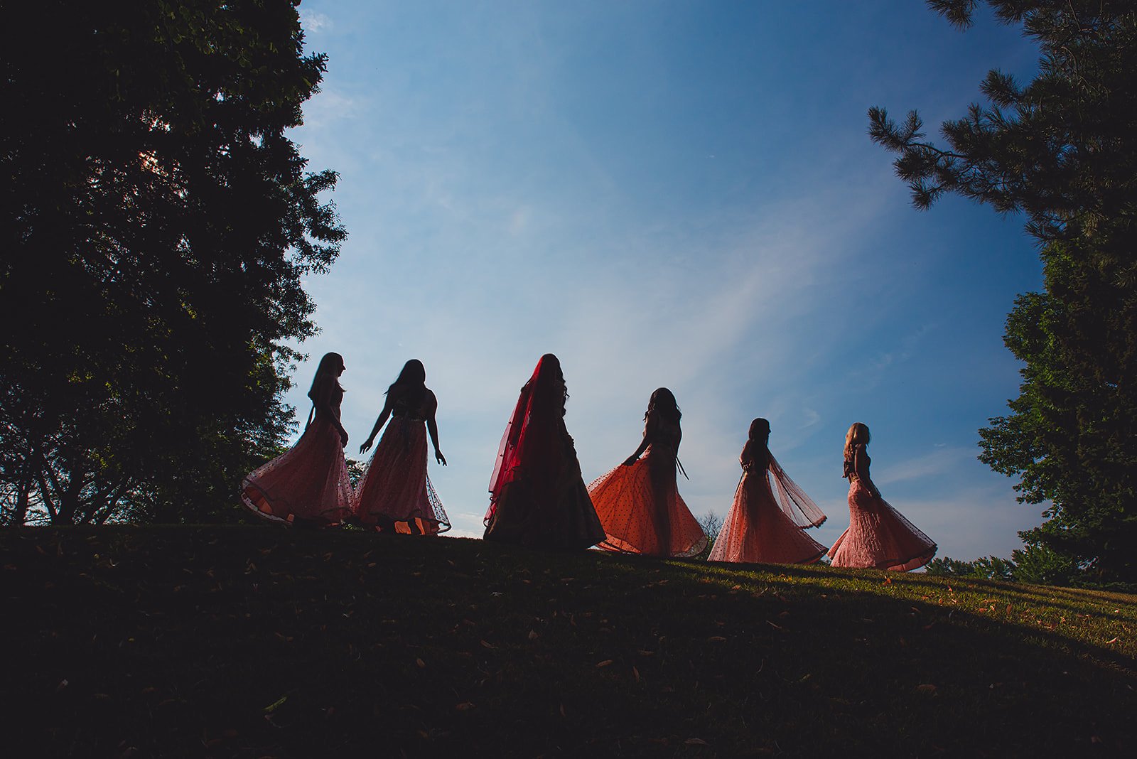  Indian Bridal Party, South Asian wedding party, silhouettes 