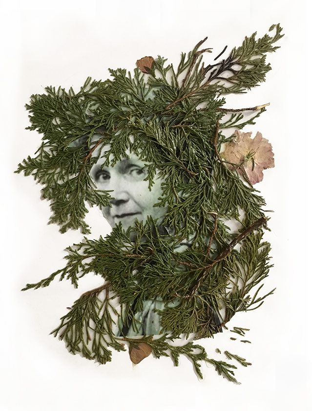 Rachel Carson