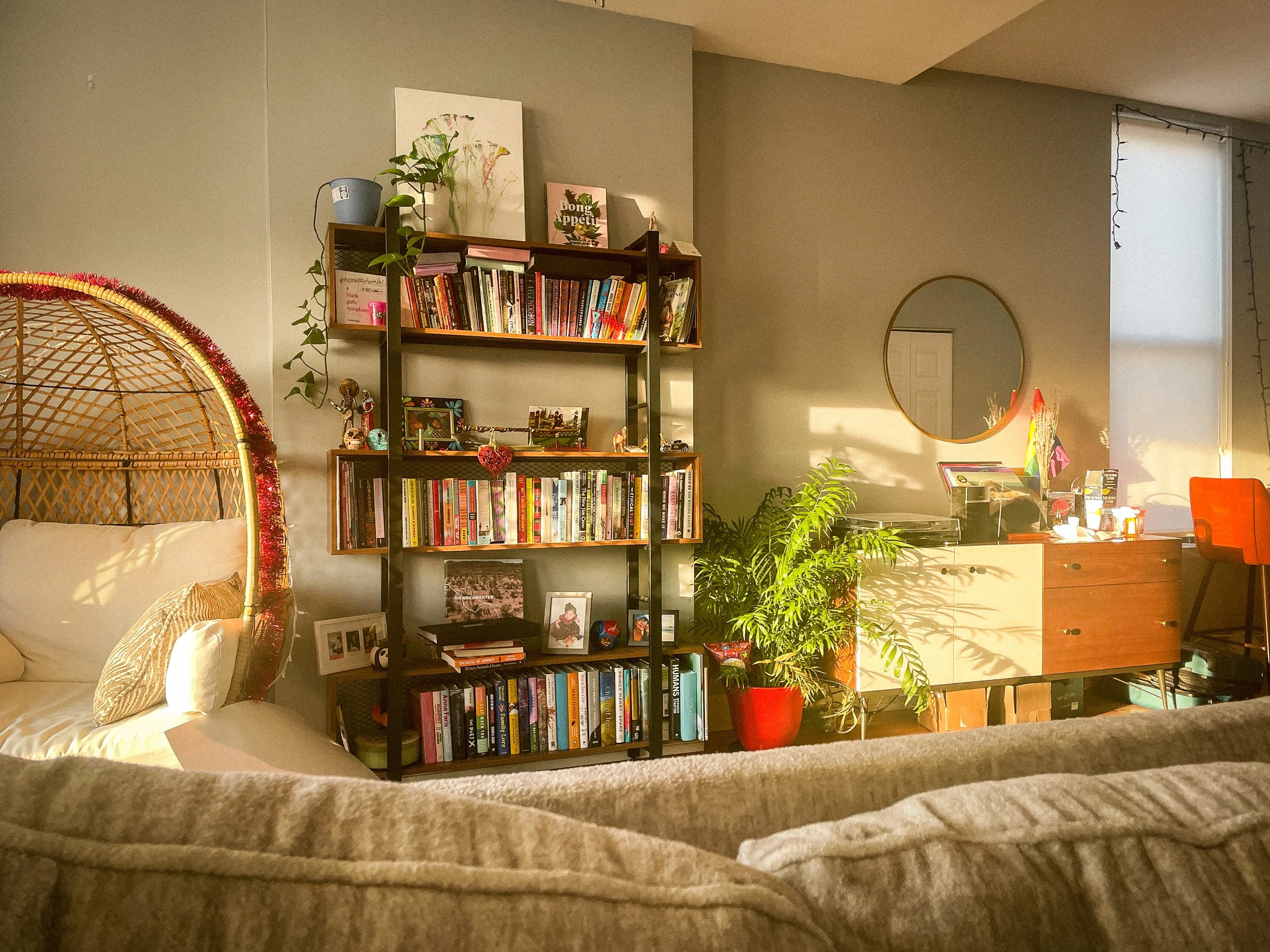 Living room with bookshelf, plant, mirror, and sideboard illuminated by sunlight.