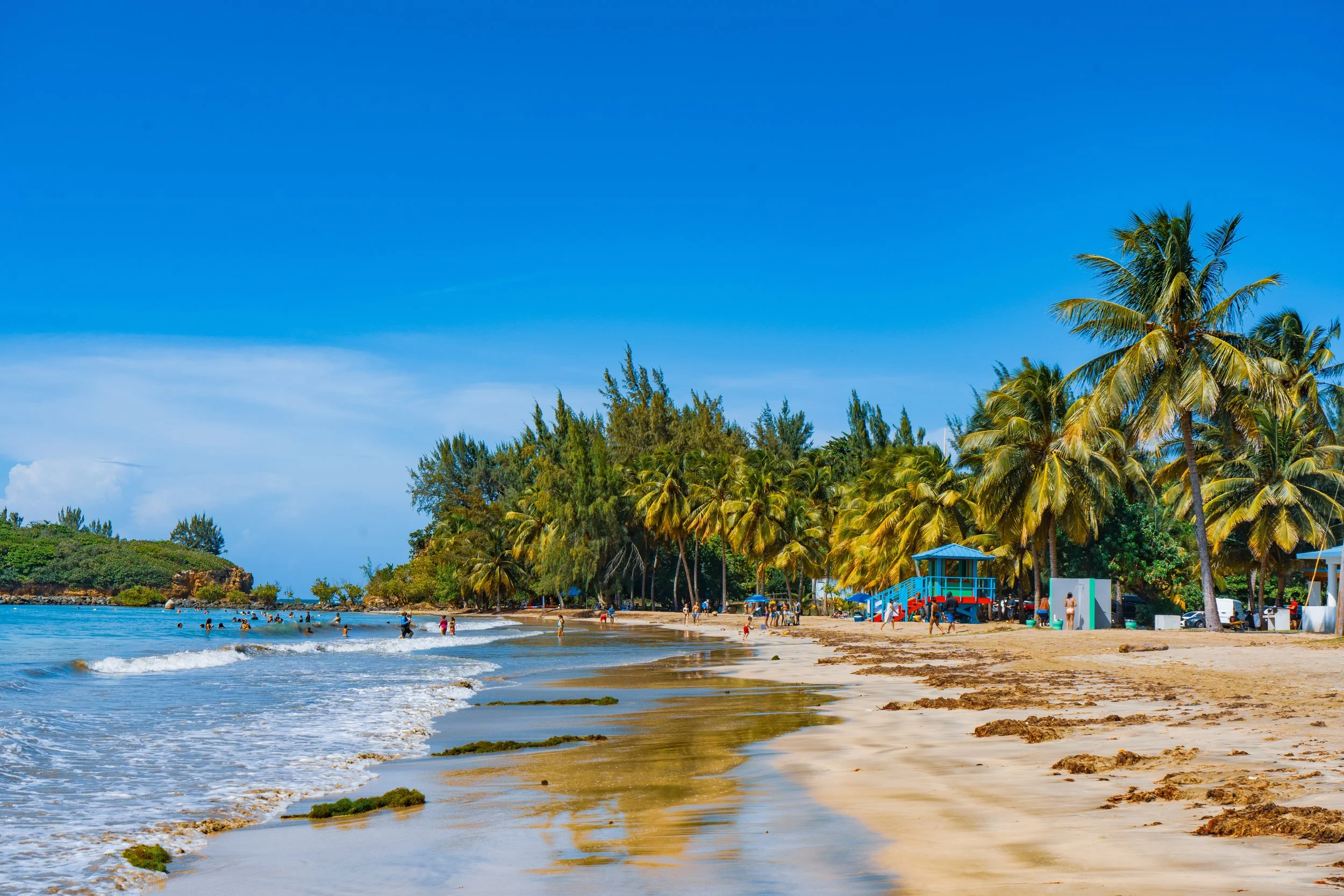 A tropical beach scene with golden sand and people swimming and relaxing by the water. There are numerous palm trees and beach huts with umbrellas along the shore. The sky is clear and blue.