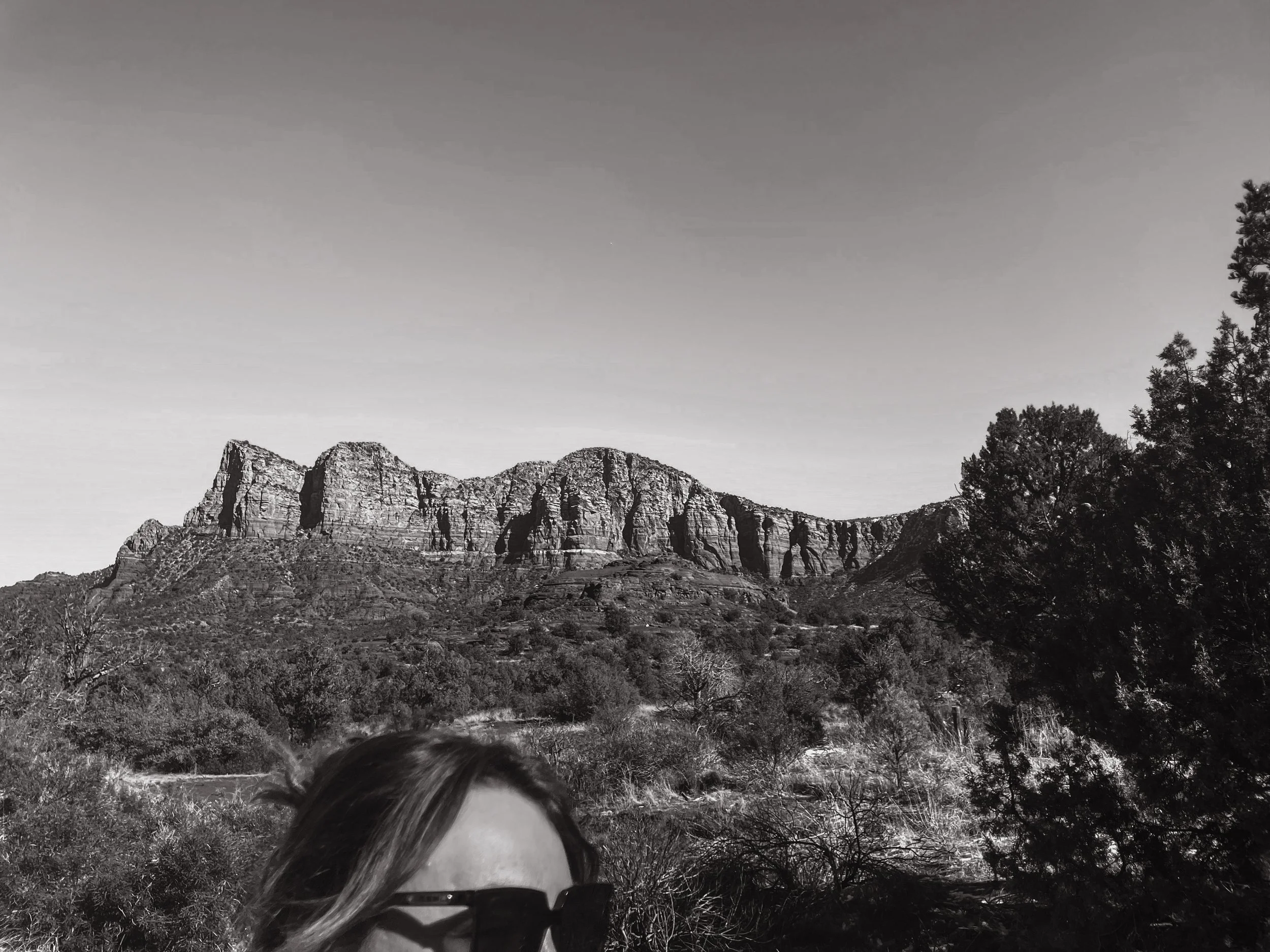 A black and white photo of a landscape with a mountain range in the background, trees and bushes in the foreground, and part of a person's head with sunglasses in the bottom left corner.