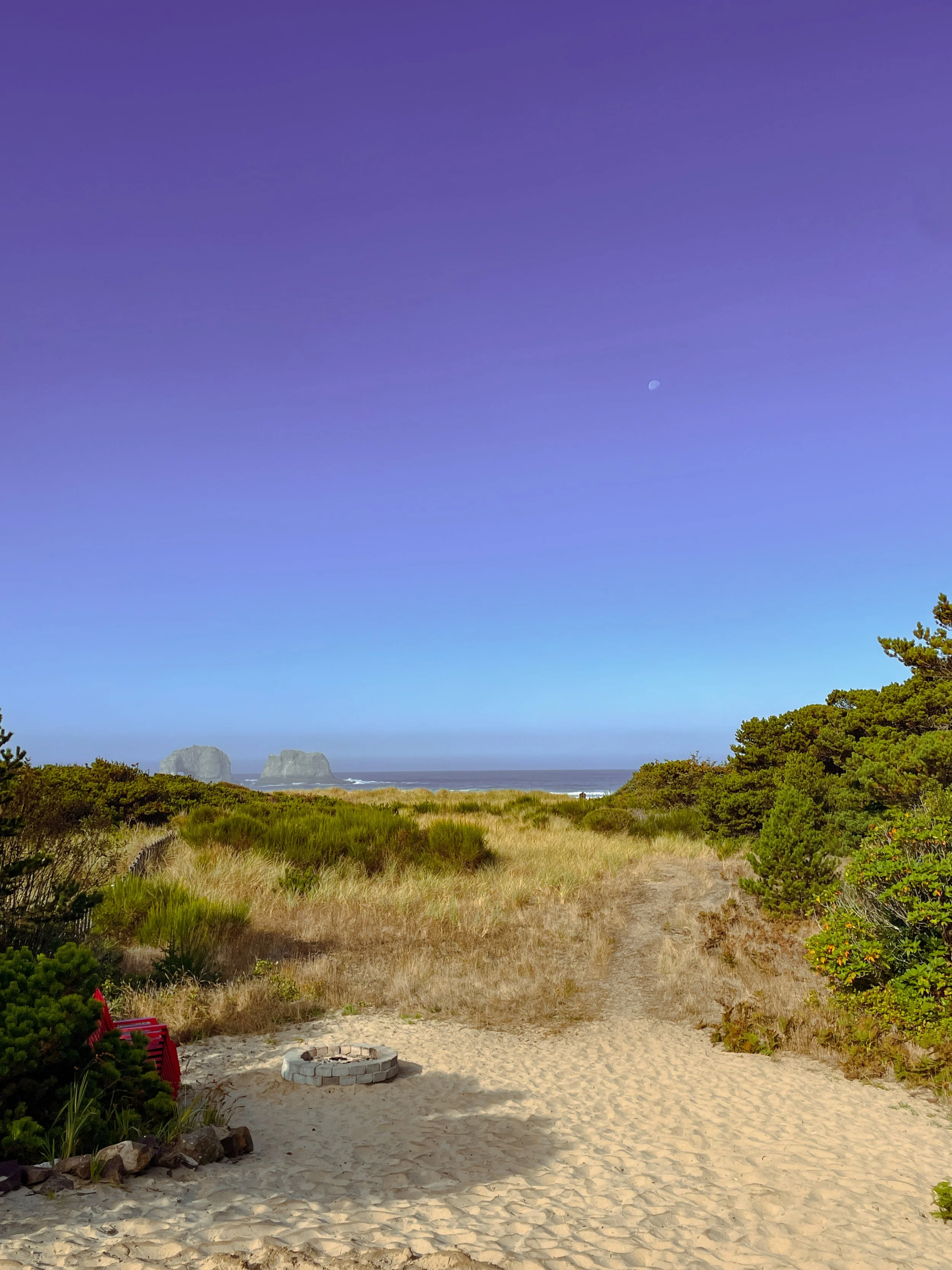 Beach scene with sandy path leading to ocean, green bushes and trees on sides, rocky formations in the distance, clear sky with visible moon.