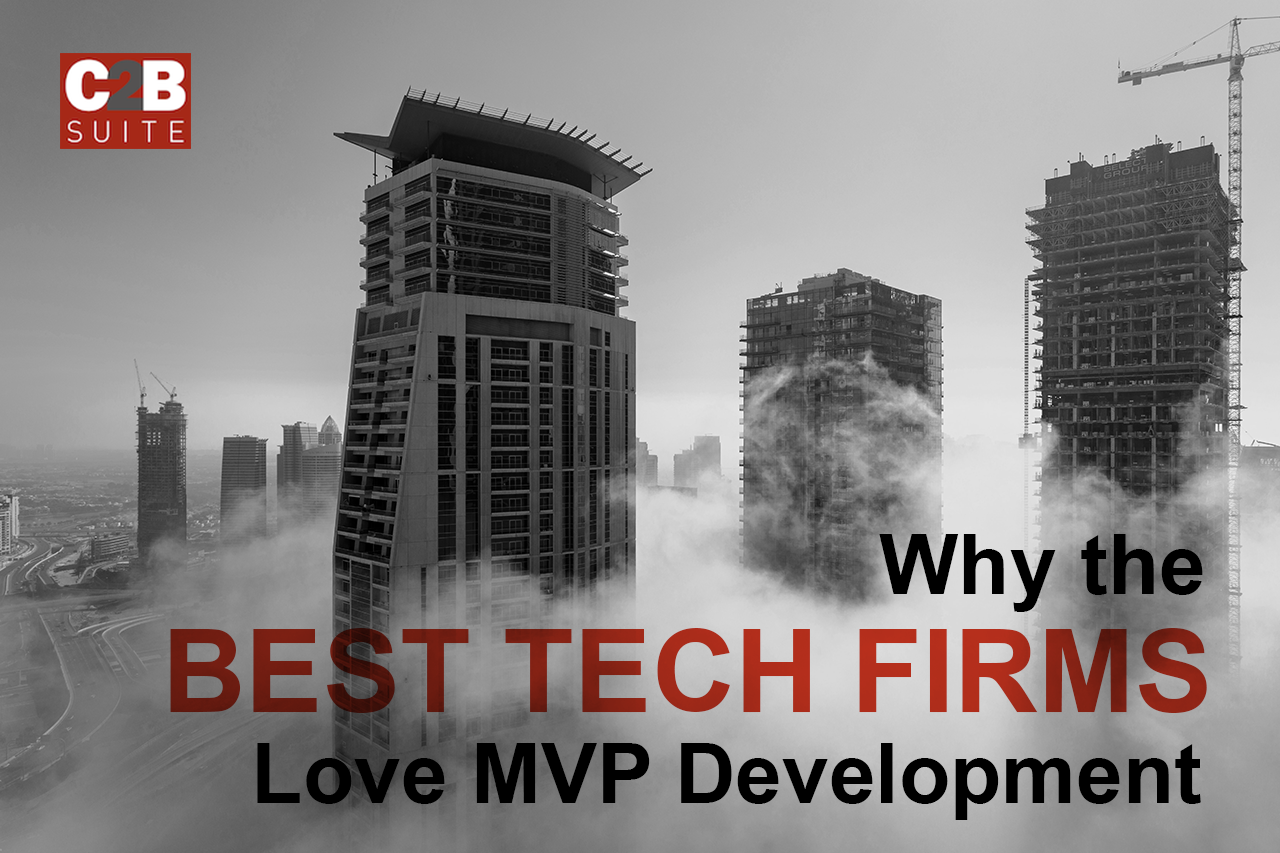 C2B-Suite-Blog-why-the-best-tech-firms-love-mvp-development.png