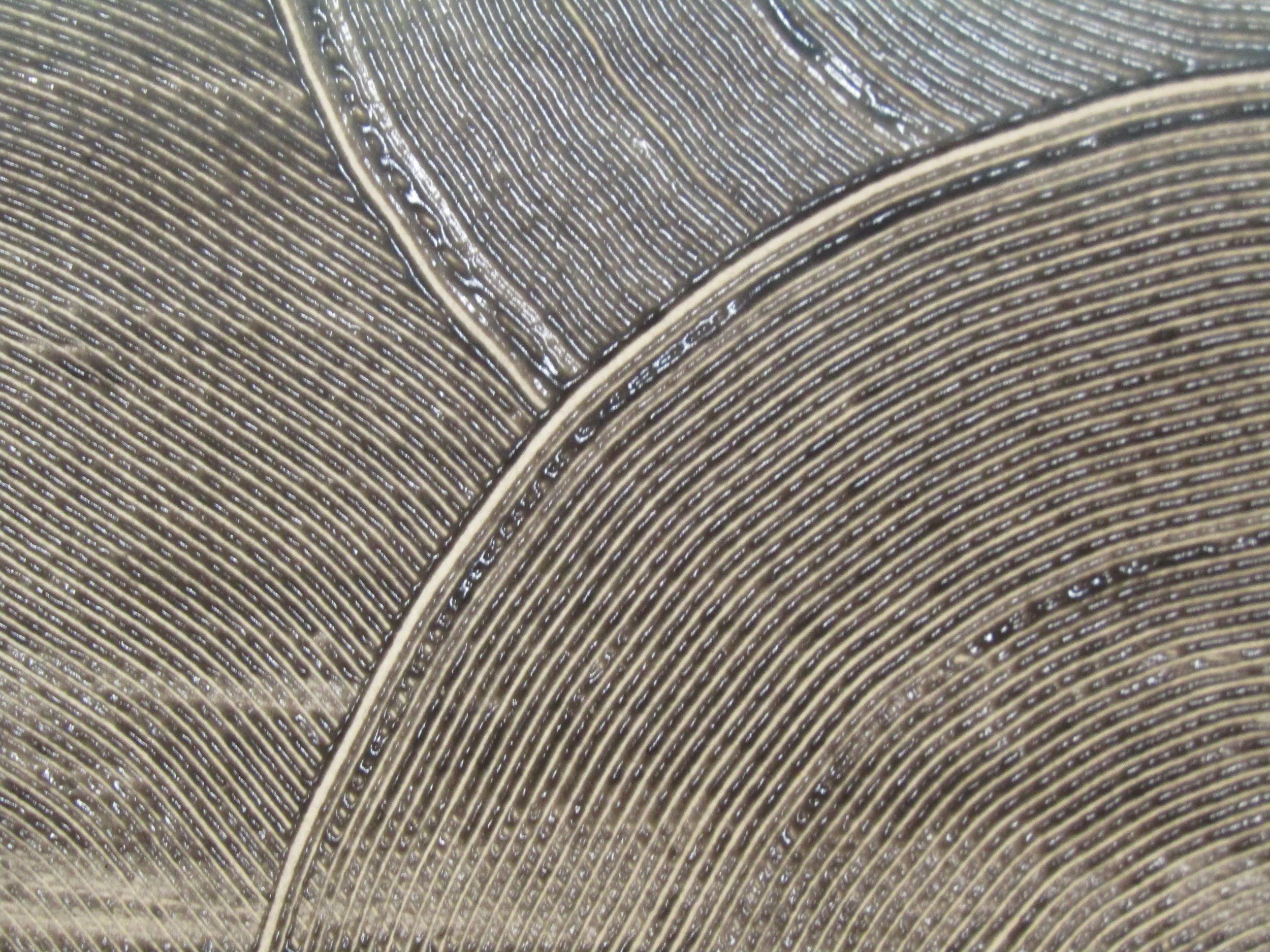 Paste Paper