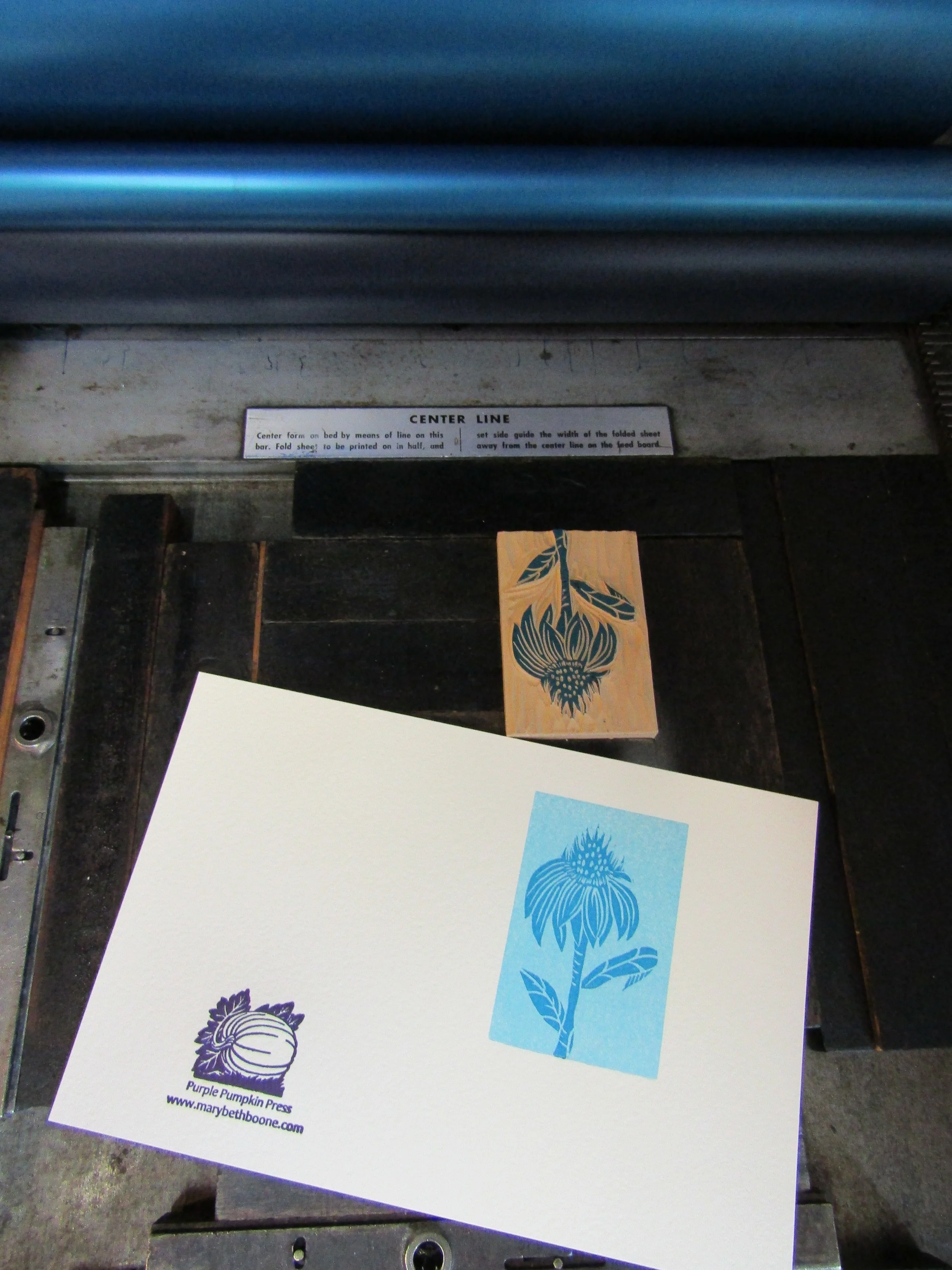 Coneflower; will become a birthday card; printed on Lettra paper.