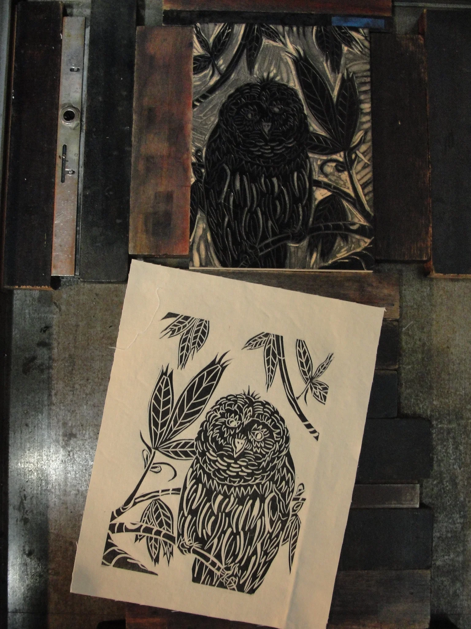 Owl printed on cotton muslin.
