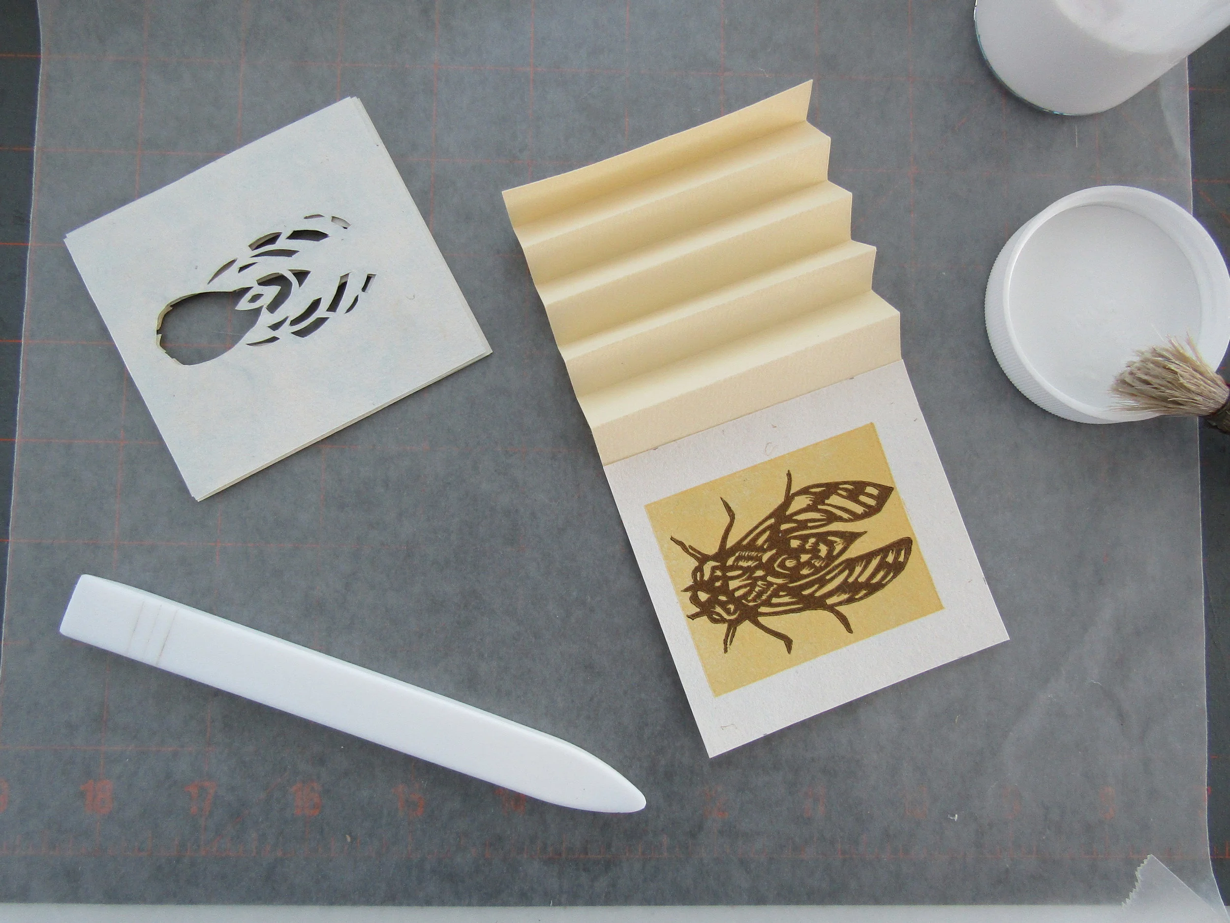I constructed a tunnel book using layers from each print. Here is the cicada tunnel book underway. I cut away layers for each insect for each tunnel book. 