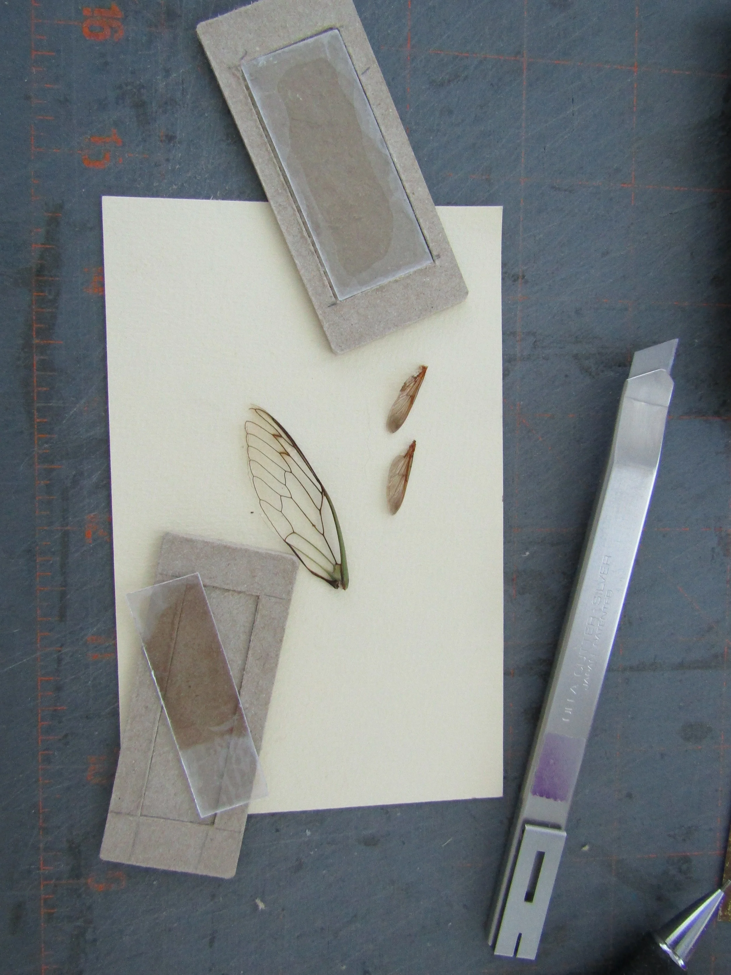 I couldn't resist adding a window at the top of each piece - I placed actual wings behind a piece of mica.