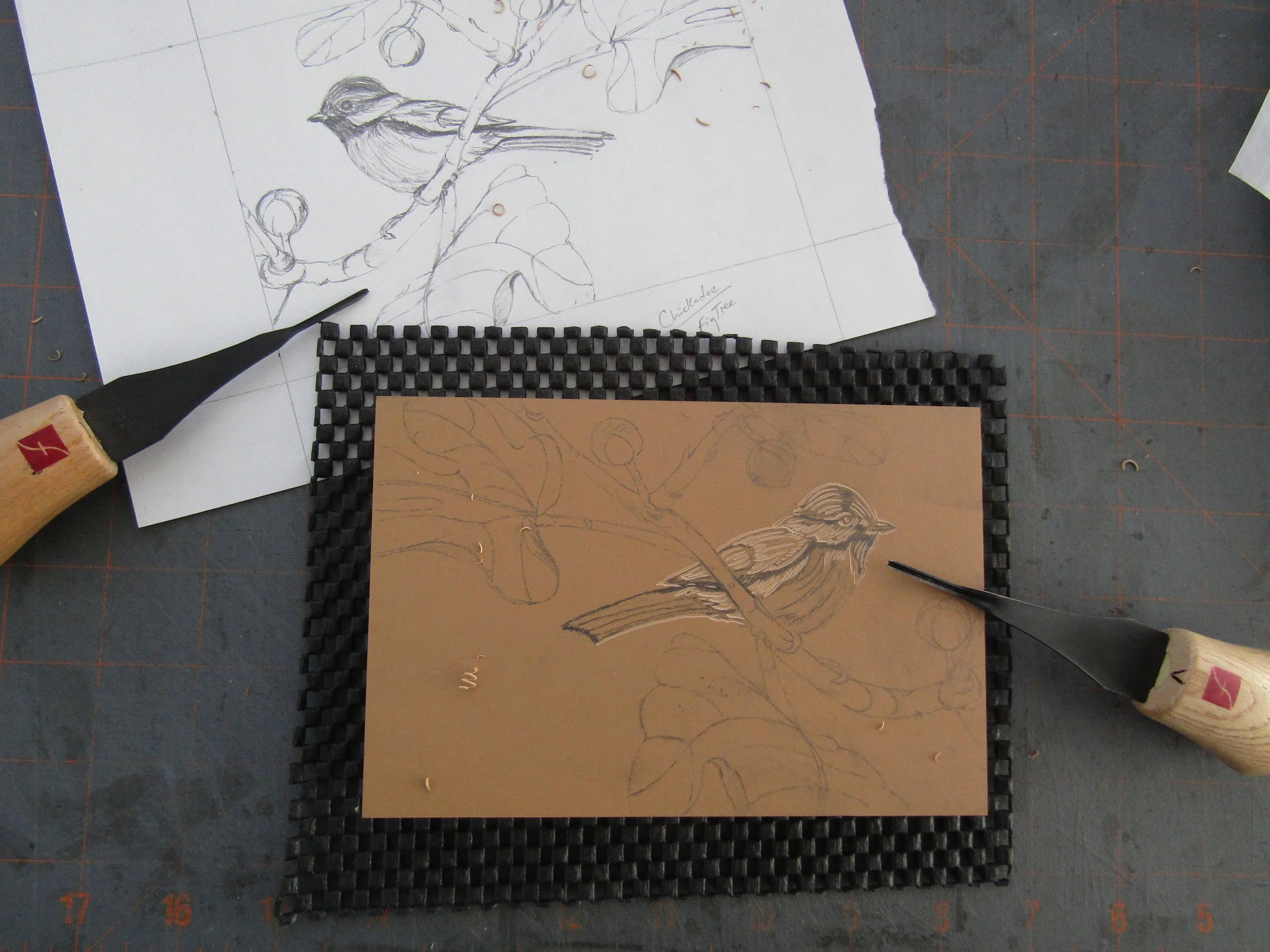 After completing several drawings, I chose nine for the book. I then began transferring each drawing to a block which I carved for printing. I particularly liked this one of a chickadee in our fig tree. 