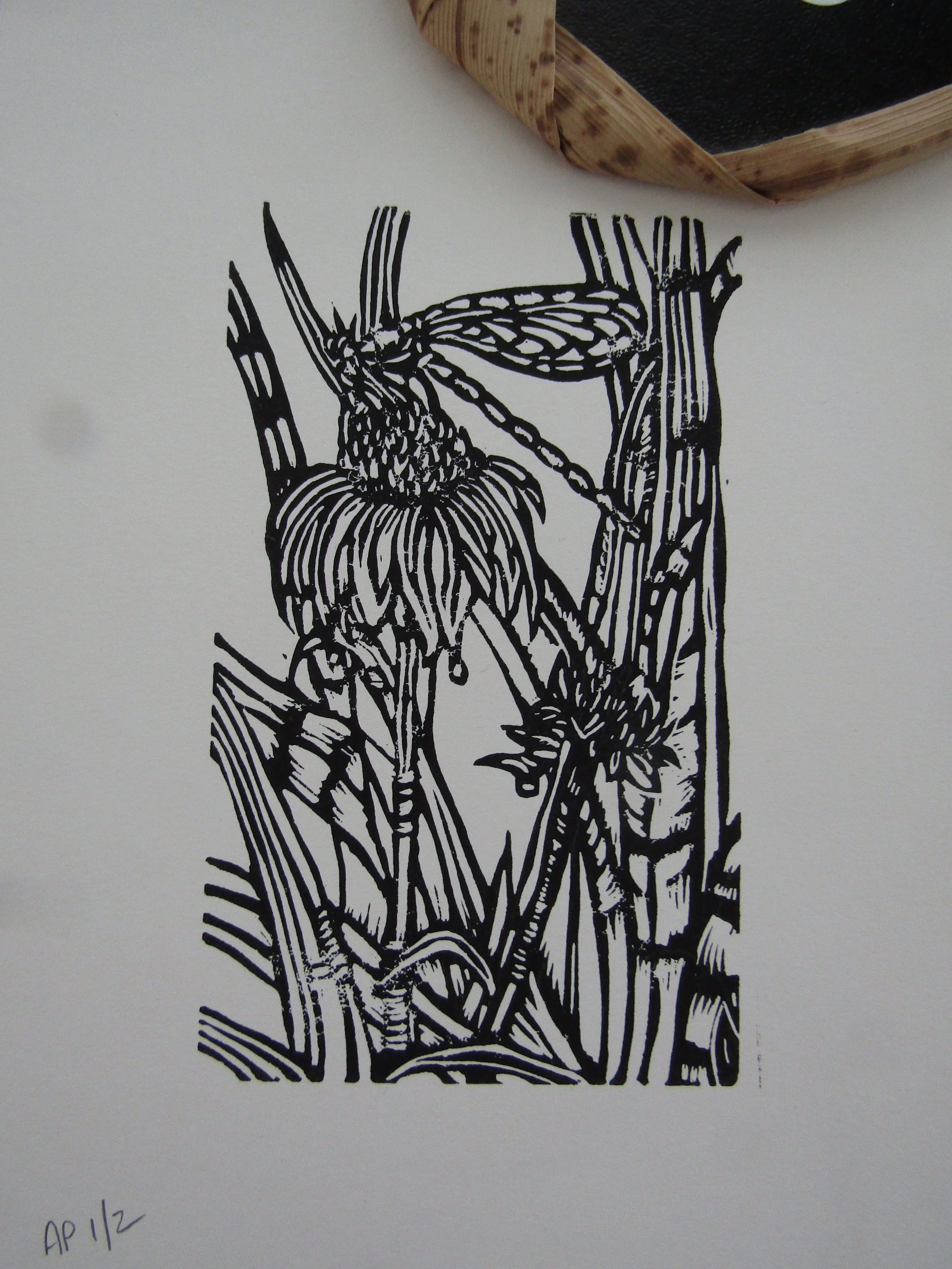Proof of the dragonfly and coneflower block.