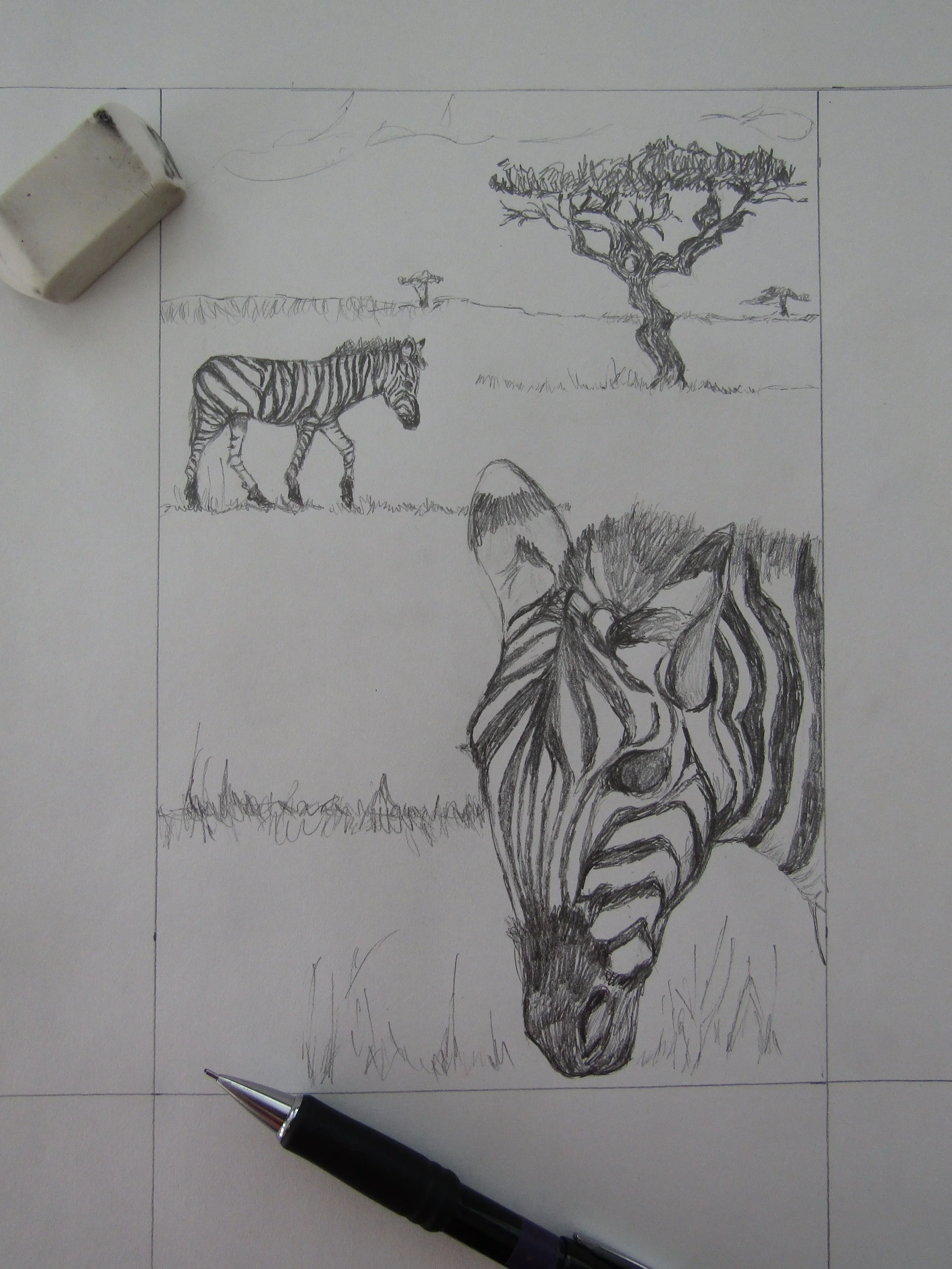 I combined various pictures I took of zebras and acacia trees for this drawing.