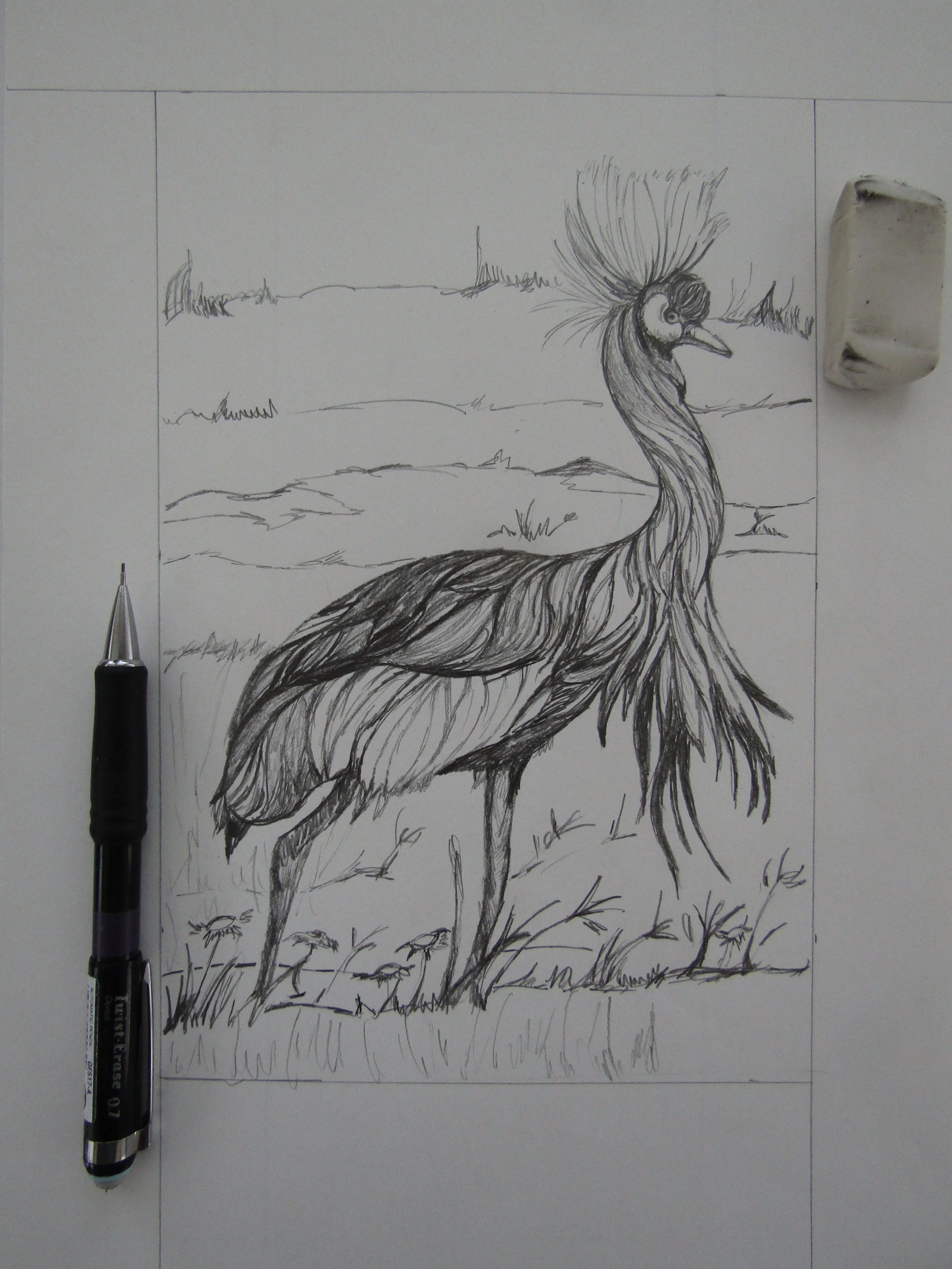 This was a most amazing creature to observe and draw.