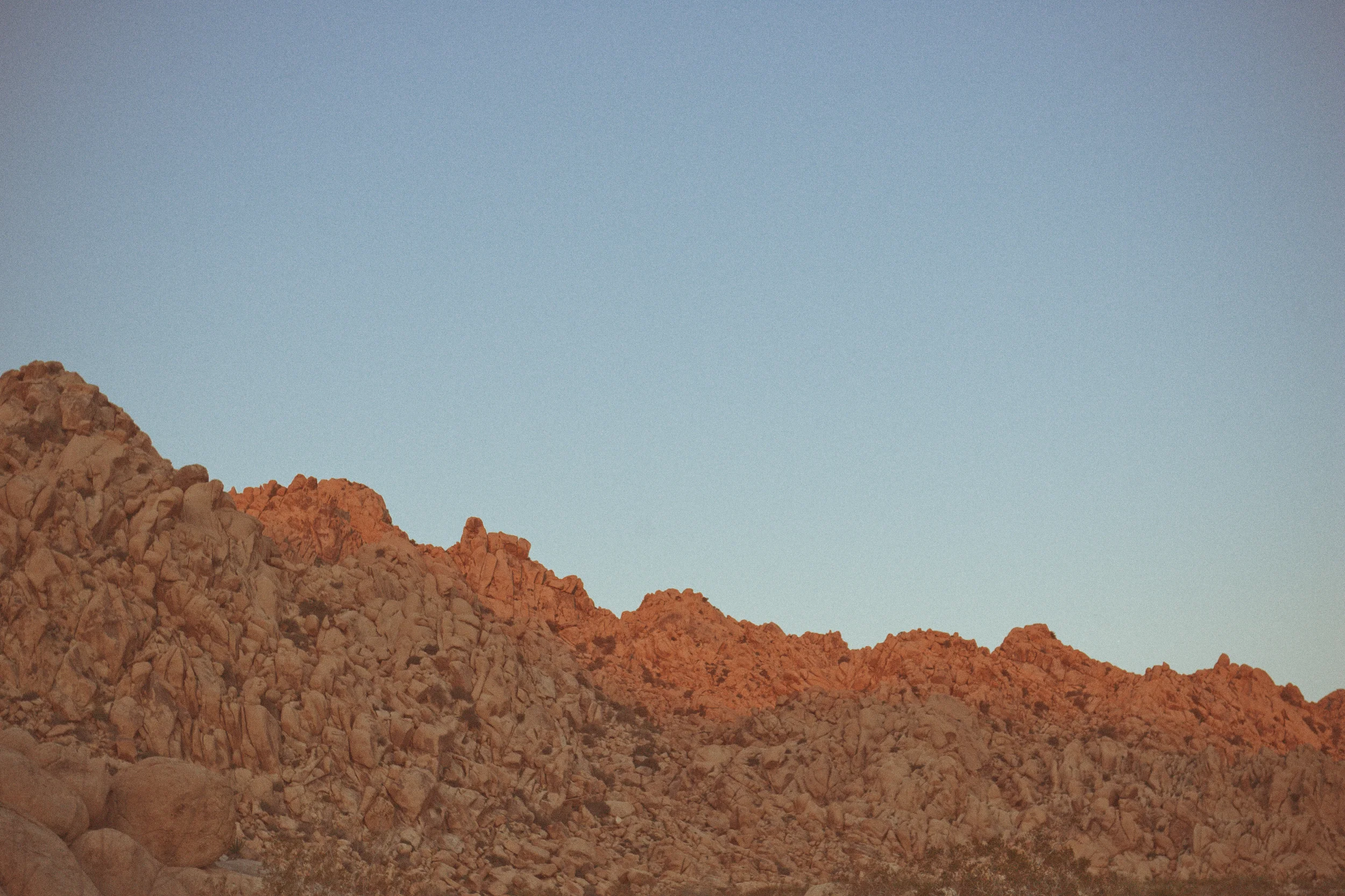 130512_Joshua_Tree_2_037-Edit-Edit.jpg