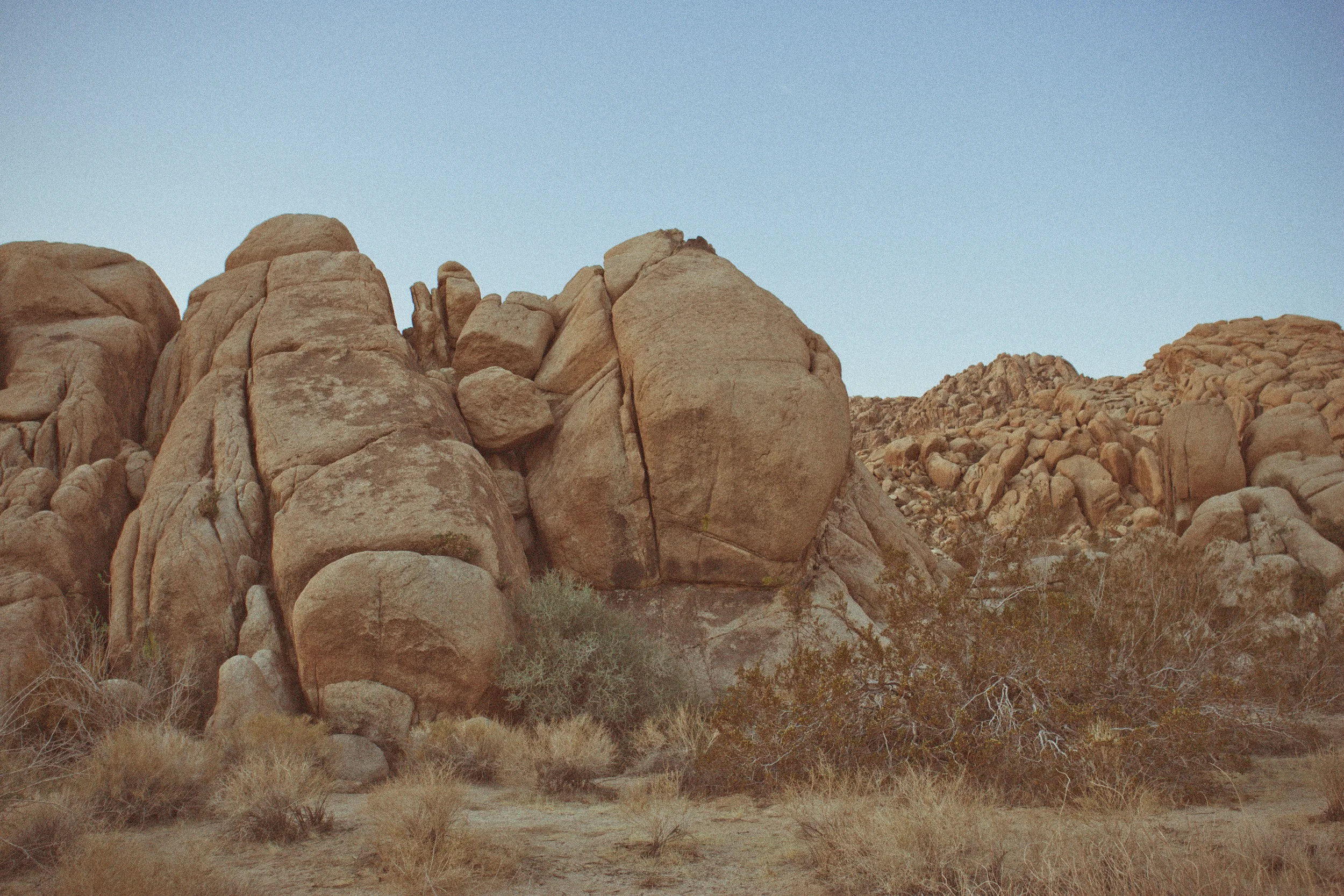 130512_Joshua_Tree_2_039-Edit.jpg