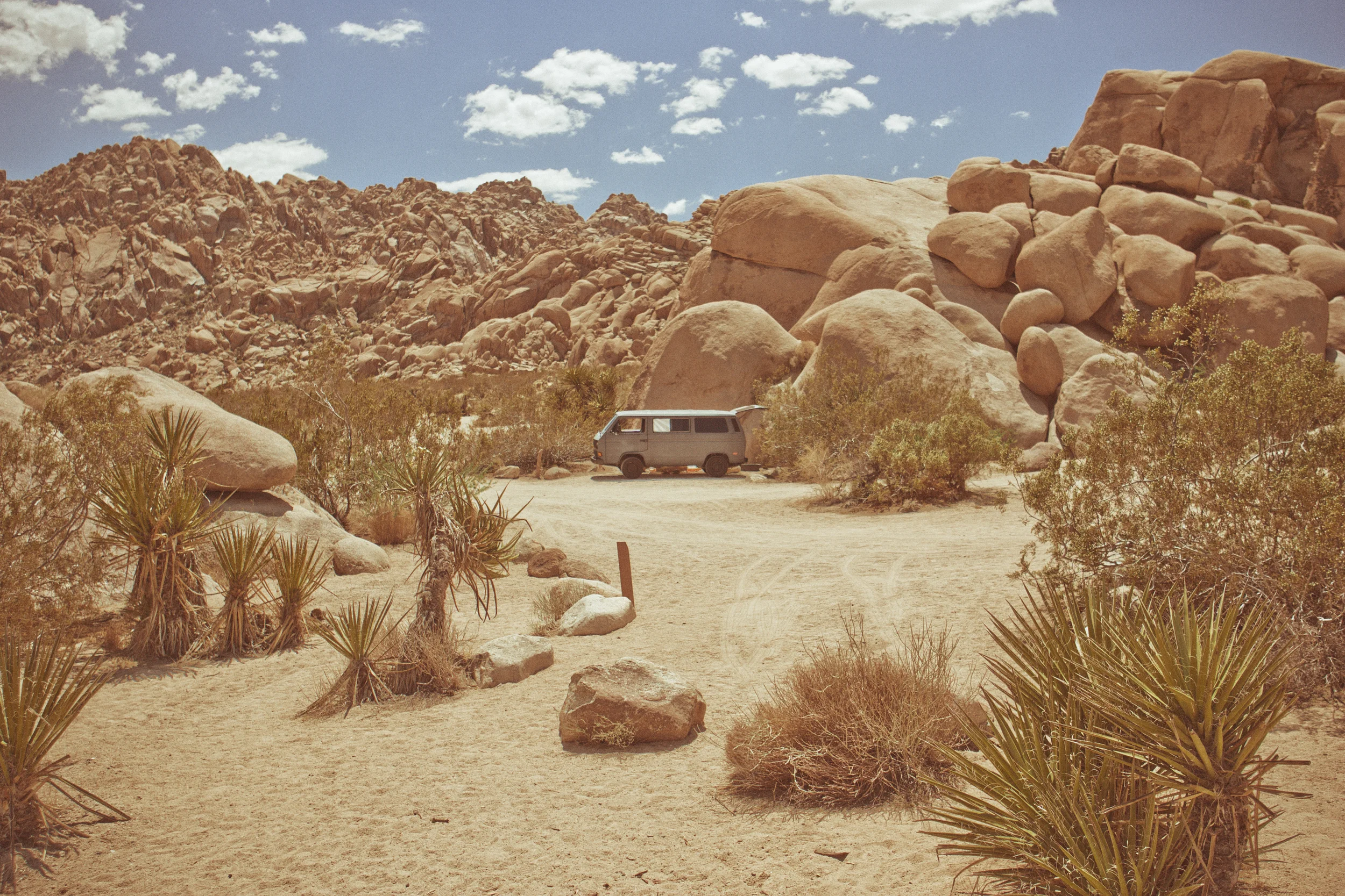 130512_Joshua_Tree_2_089-Edit.jpg