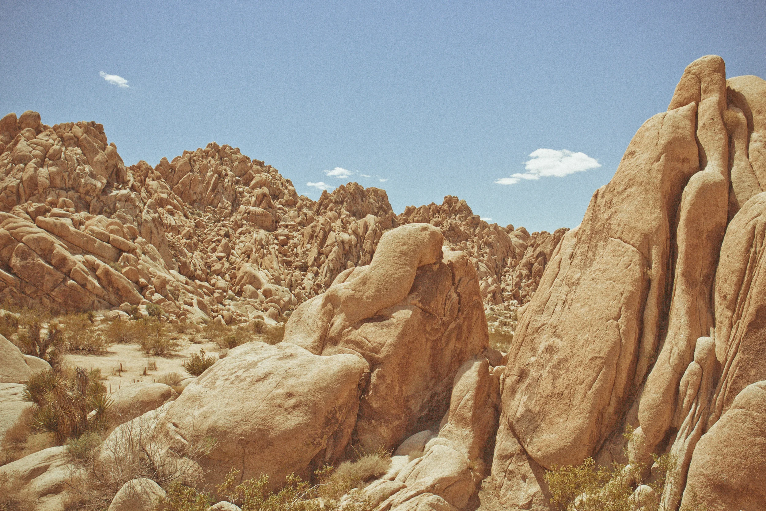 130512_Joshua_Tree_2_136-Edit.jpg