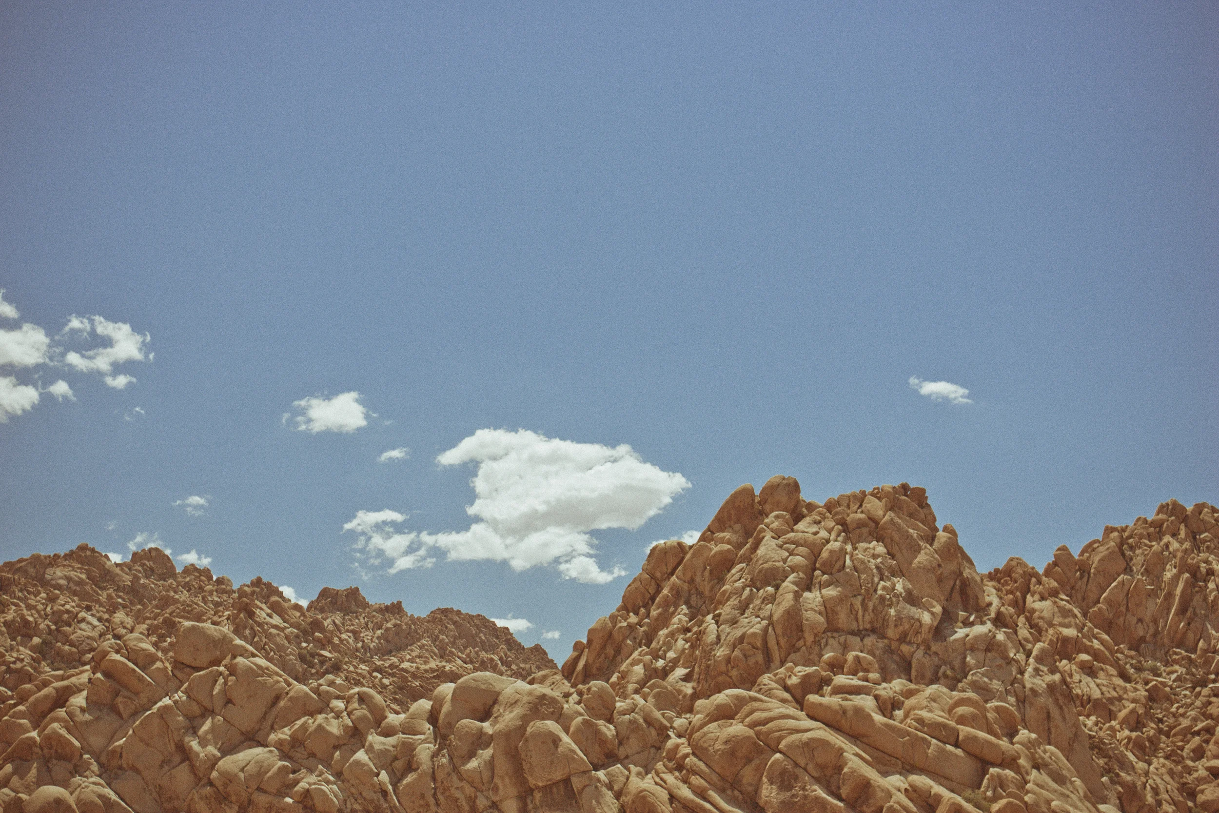 130512_Joshua_Tree_2_139-Edit.jpg