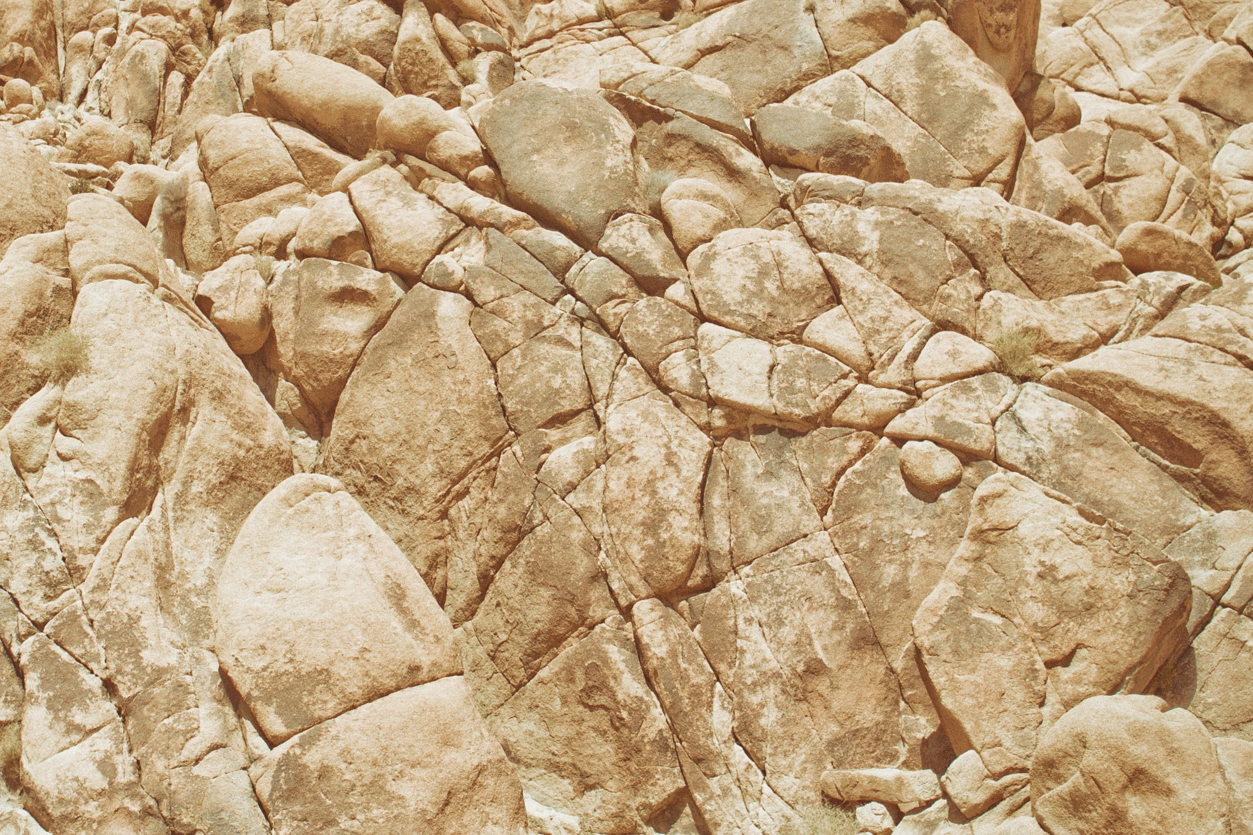 130512_Joshua_Tree_2_154-Edit.jpg