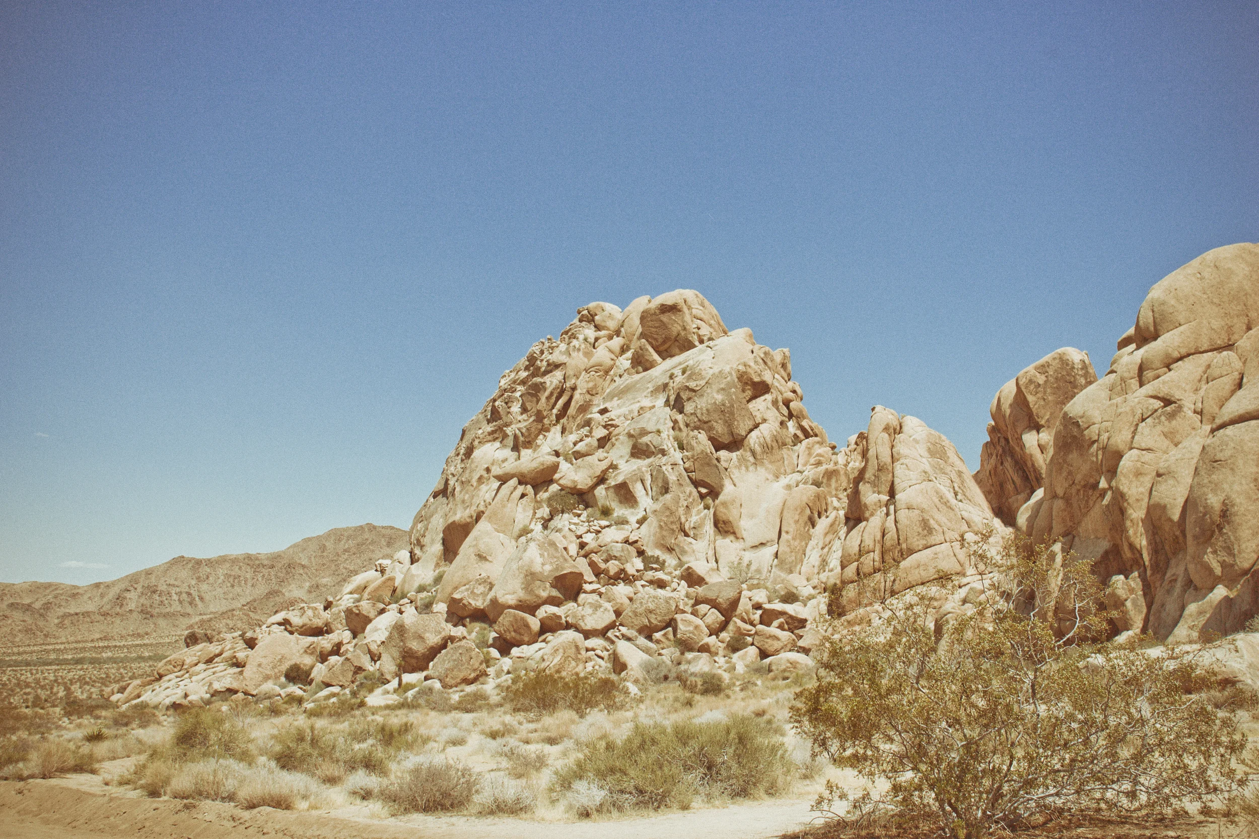 130512_Joshua_Tree_2_162-Edit.jpg