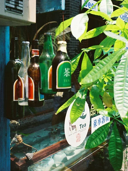 LD-WEBB_China_LowRes_00007.jpg