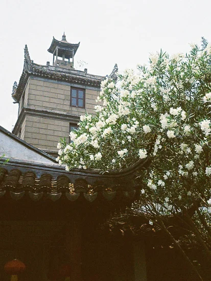LD-WEBB_China_LowRes_00023.jpg