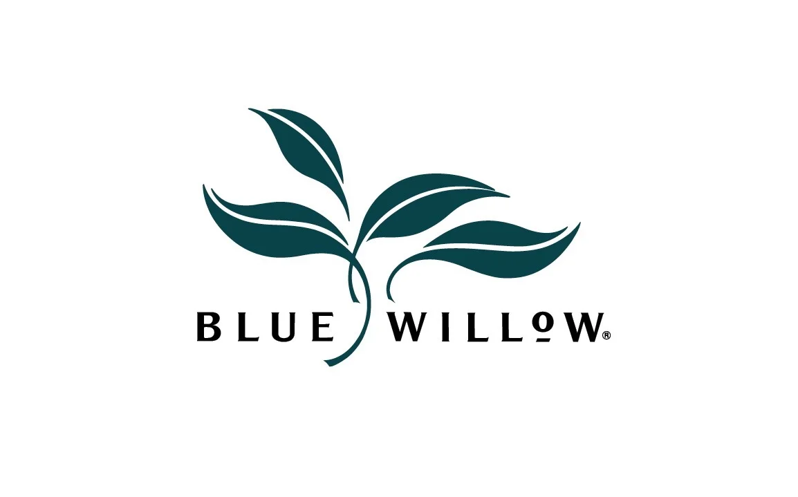Blue Willow Portfolio.jpg