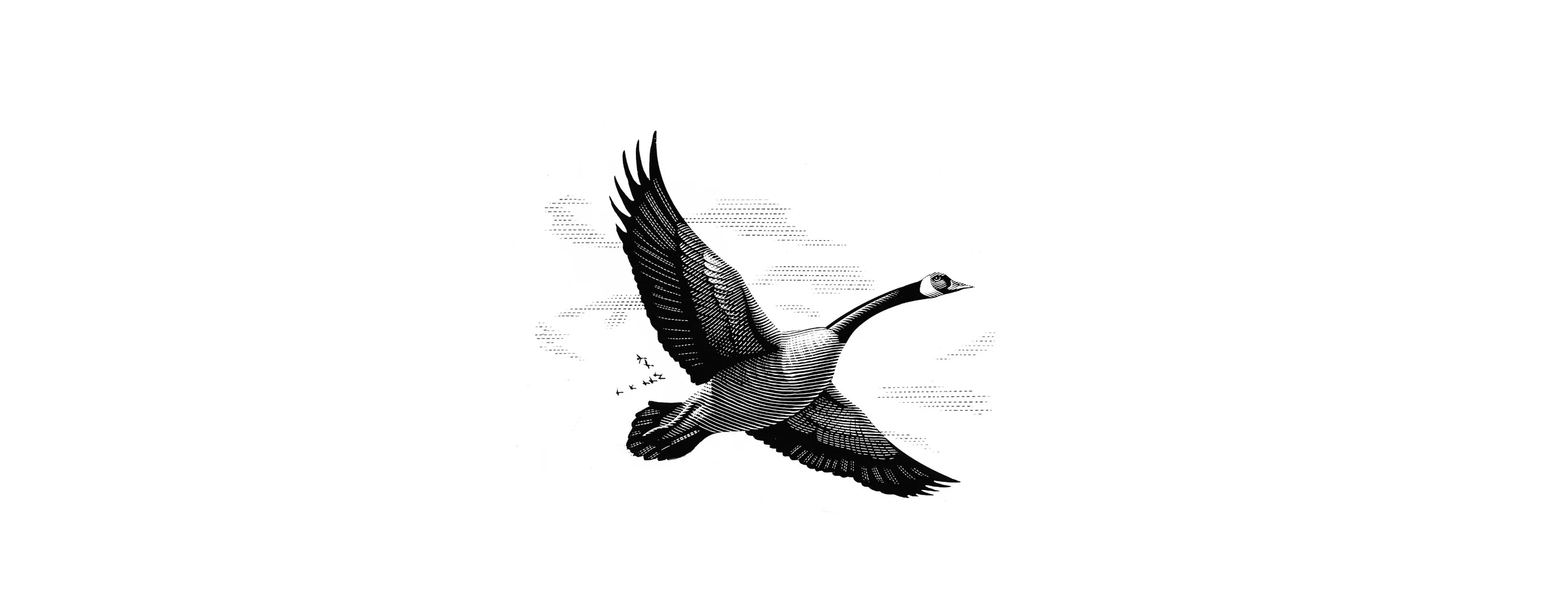 goose - Version 2 - 2015-05-27 at 16-10-26.jpg