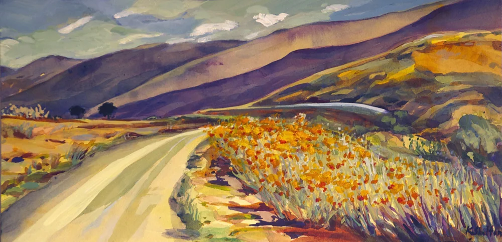 Santa Barbara Foothills