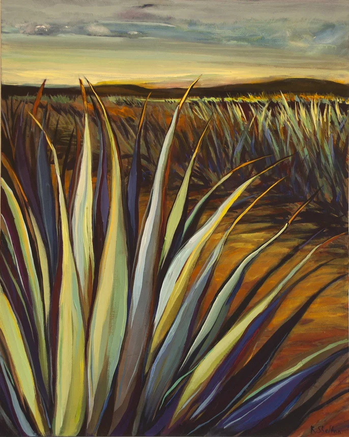 Tequila Agaves IV